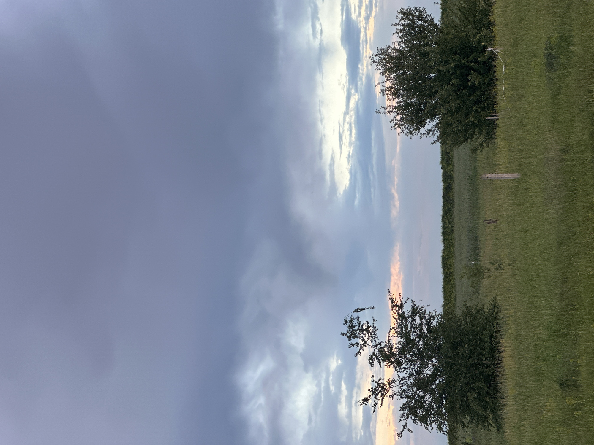 The image depicts an outdoor scene with a wide expanse of green grass in the foreground, characteristic of a field or meadow. Two trees are visible, one on the left and another on the right, both appearing full and leafy. The tree on the left is slightly smaller and its branches are more exposed. In the middle ground, a thin line of darker green vegetation forms a subtle horizon. The sky above is filled with a mix of clouds, displaying shades of gray, purple, and hints of pink and white, suggesting it might be either sunrise or sunset. A single wooden post is visible in the grassy area between the two trees. The overall impression is a serene, natural landscape under a dramatic sky. There are no people or animals present in the image, and no specific urban features are discernible, suggesting a rural or semi-rural setting rather than a city.