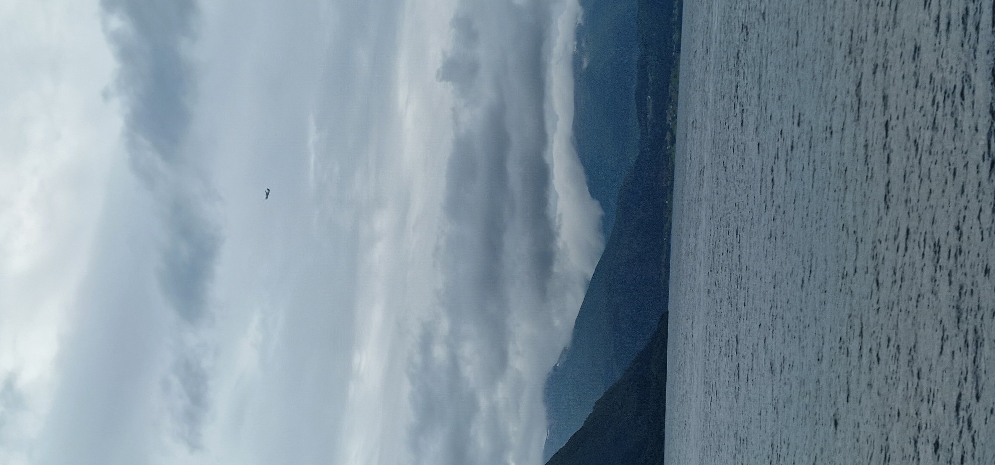 An airplane is visible in the sky above a body of water and mountains. The sky is overcast with gray clouds. The body of water is dark and appears to be a fjord or lake. The mountains are covered in dark green vegetation, and some of the peaks are obscured by clouds. The scene is likely taken from a boat or the shore. The image appears to be a landscape shot taken on a cloudy day in the vicinity of Volda, Norway. There are no people visible in the image.