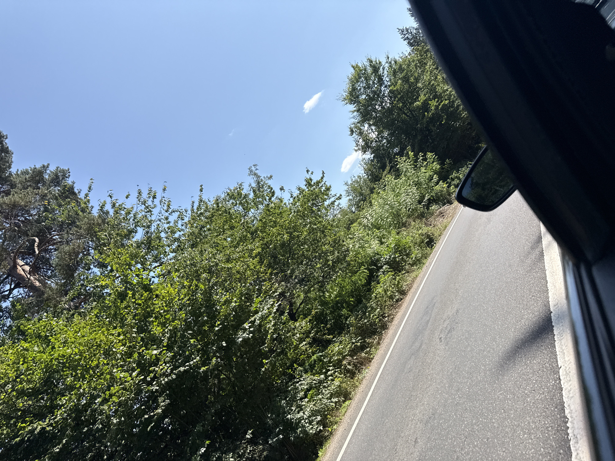 The image shows a view from inside a vehicle looking out at a winding asphalt road bordered by lush green trees and vegetation on the left. A clear blue sky with a few wispy clouds is visible above the trees. The right side of the image is dominated by the dark interior of the vehicle, including a side-view mirror reflecting a sliver of the road and trees. The scene suggests a drive through a natural, possibly wooded, area in Oituz, Romania.