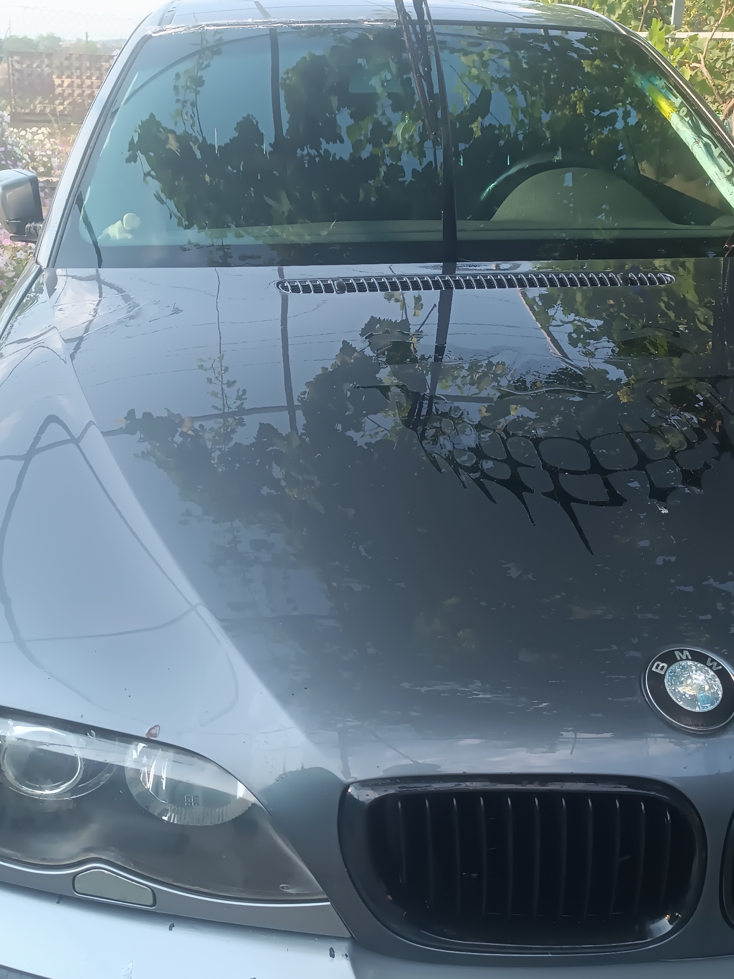 A close-up, head-on shot of a gray BMW car is captured outdoors, with reflections of greenery on its hood and windshield. The car is parked, with the hood partially open and the windshield wipers visible. A BMW emblem is present on the hood. The background suggests a rural setting with foliage and a hint of a fence. The image appears to be taken in Vypasne, Ukraine, although there is no specific indicator within the image itself to confirm this location. There are no people visible in the frame, and no apparent activity is occurring. The lighting suggests it is daytime, likely sunny given the reflections.