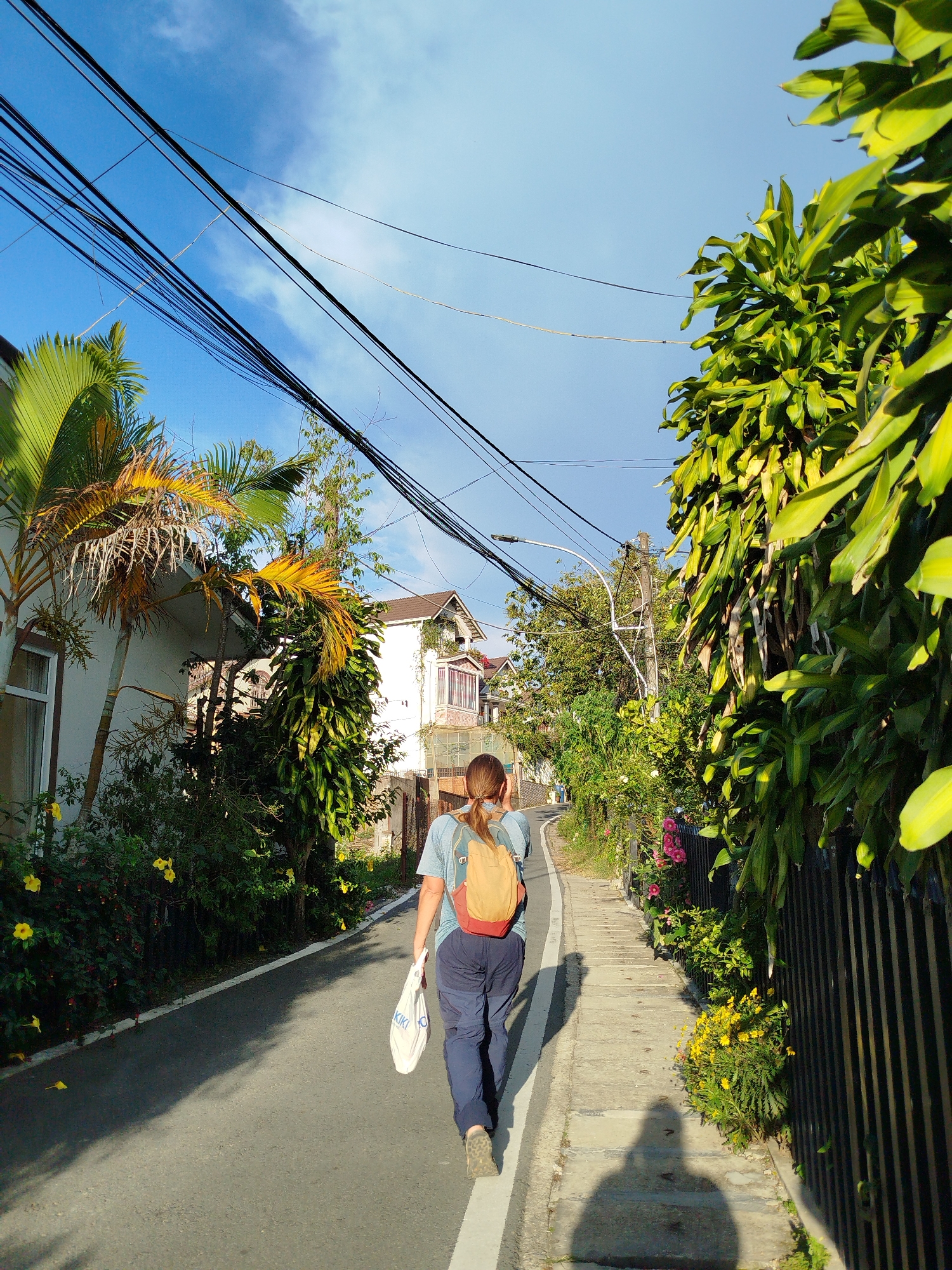 The image shows a person with a backpack walking away from the camera on a paved road in Da Lat, Vietnam. The person is wearing a blue t-shirt and dark blue pants, carrying a white plastic bag in their right hand. The road is bordered by a sidewalk and lush vegetation, including palm trees and flowering plants. Houses are visible on the left side of the road, and a black metal fence lines the right side. Overhead, a network of electrical wires stretches across the bright blue sky with scattered clouds. The scene is bathed in sunlight, casting long shadows on the pavement.