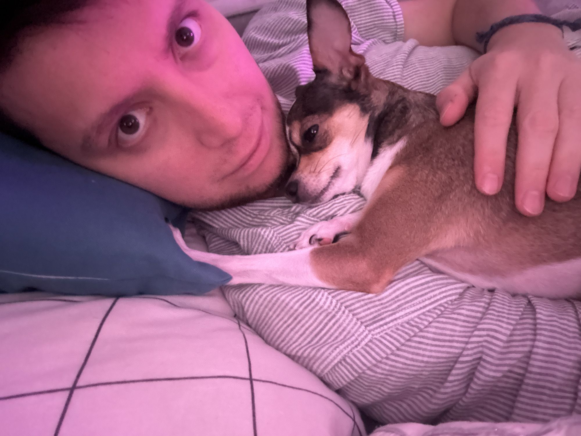 The image shows a close-up, overhead shot of a person and a small dog lying in bed. The person's face, illuminated by pink lighting, is close to the camera, with their eyes wide open and looking upwards. Next to them, the dog, a small breed with brown, white, and black markings, is nestled close to the person, with its head resting on the person's chest. The dog appears relaxed, with its eyes closed.
The setting is a bed with striped grey and white bedding and a blue pillow visible on the left. The person is wearing a striped t-shirt. A dark blue bracelet is visible on the person's wrist. The lighting in the scene is predominantly pink, suggesting an artificial light source. The overall mood conveyed is one of intimacy and comfort between the person and their pet. There is no visible text in the image. The scene suggests a quiet moment, possibly morning or evening, indoors.