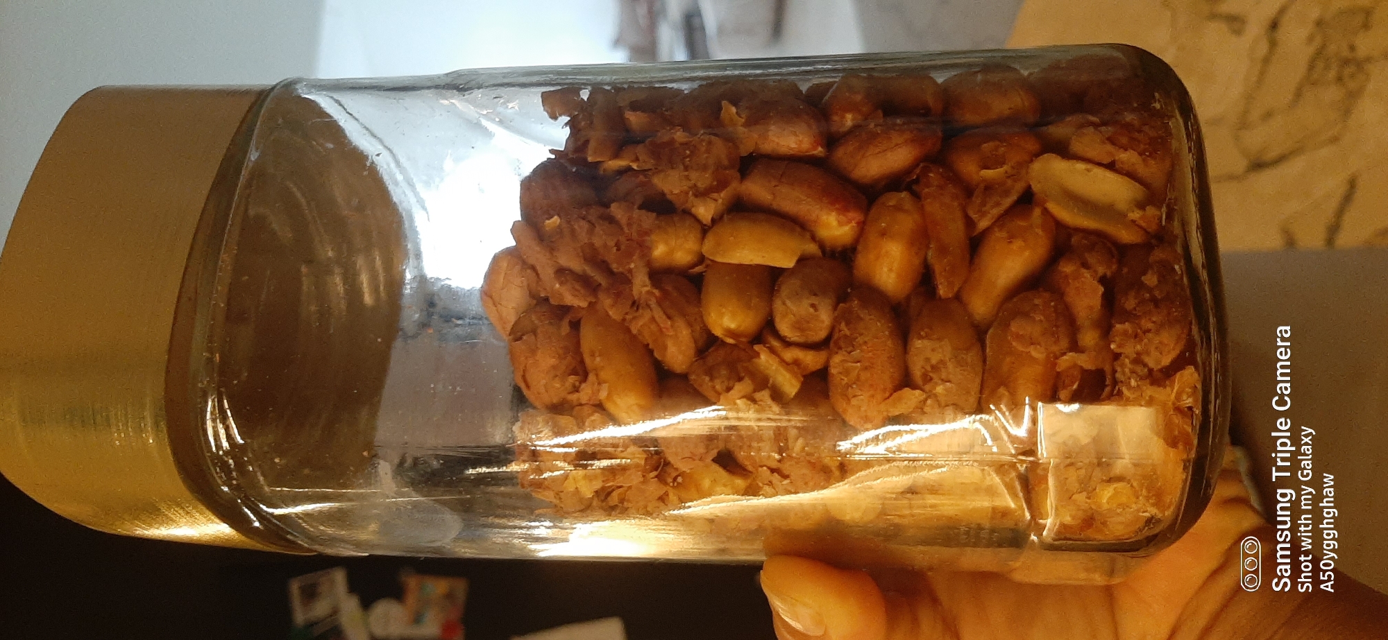 A close-up, eye-level shot shows a clear glass jar filled with peanuts, some whole and some broken, with a gold-colored lid. The jar is held in a person's hand, with the thumb and fingers visible on the left side of the image. The background is blurred and dark, with some indistinct objects and bright lighting. A watermark at the bottom of the image reads "Samsung Triple Camera Shot with my Galaxy A50yqghghaw". The scene does not depict any recognizable landmarks or settings within Dubai, United Arab Emirates.