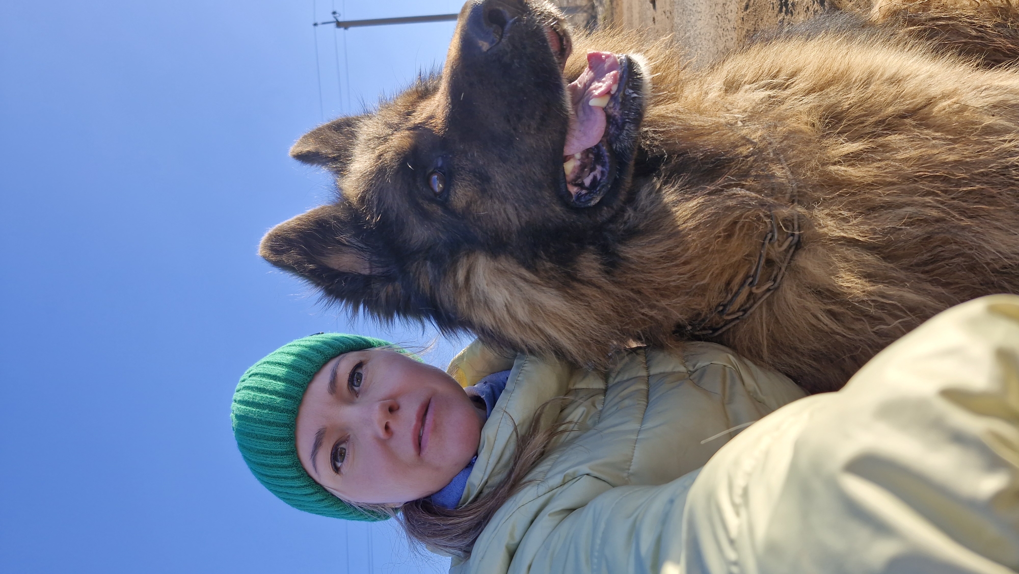 A low-angle shot captures a woman and a German Shepherd against a backdrop of a clear blue sky. The woman wears a green beanie and a light yellow padded jacket. The dog is large and furry, with an open mouth revealing its teeth and tongue. A chain collar is visible around the dog's neck. In the background, utility poles with wires suggest an outdoor, possibly rural, environment. The location is given as the city of Unknown, Unknown.