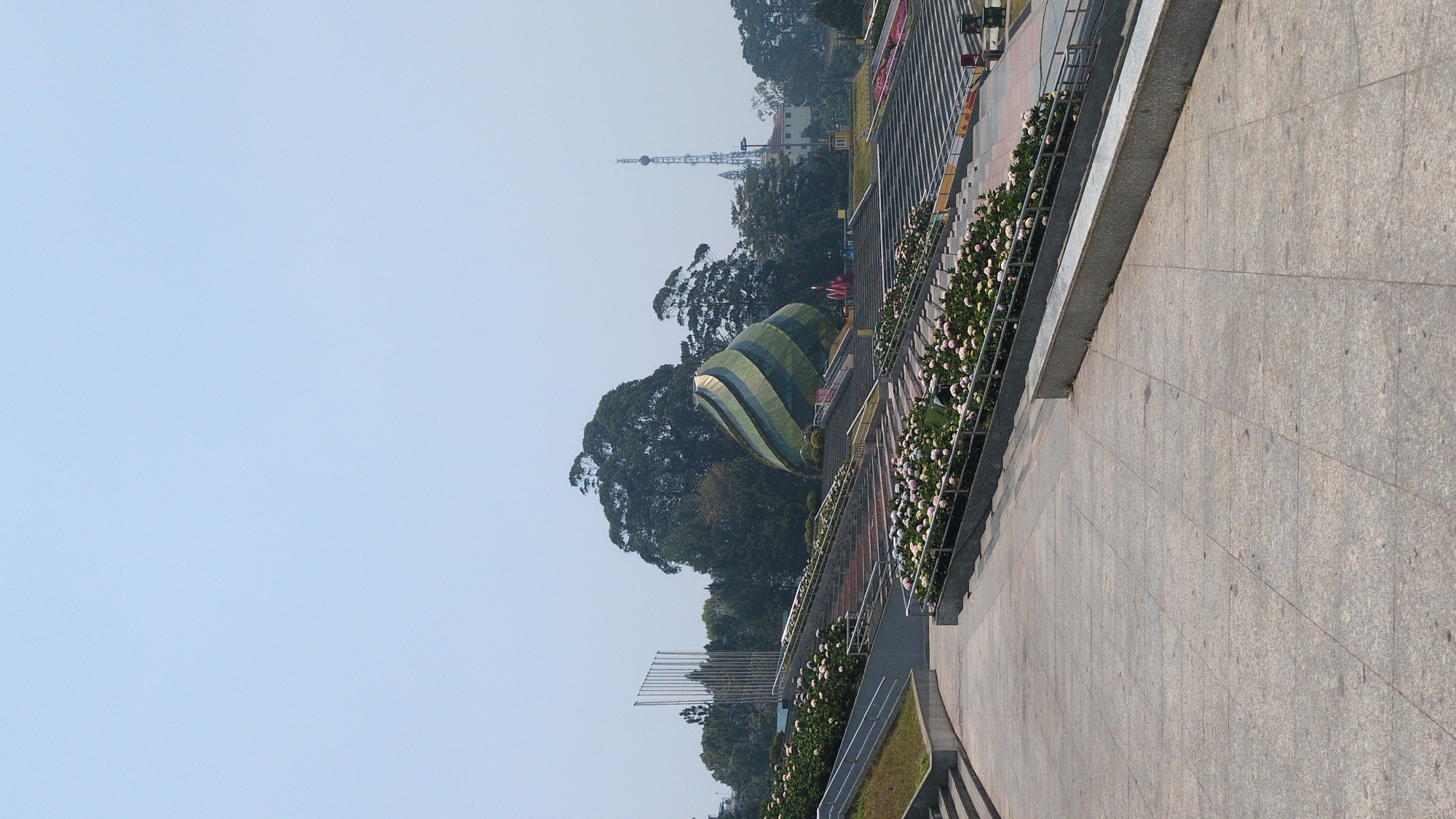 The image captures a view in Da Lat, Vietnam. The foreground is dominated by a wide, tiled pedestrian area with a stepped design. Running along the edge of this area is a flower bed containing hydrangea bushes, their blooms a mix of white, pink, and blue. Further into the scene stands a unique architectural structure resembling a large, green and gold artichoke. This structure is surrounded by trees, blending in with the natural landscape. Beyond the trees, in the distance, a tall transmission tower can be seen. The sky is a clear, pale blue, and the overall scene suggests a sunny day.