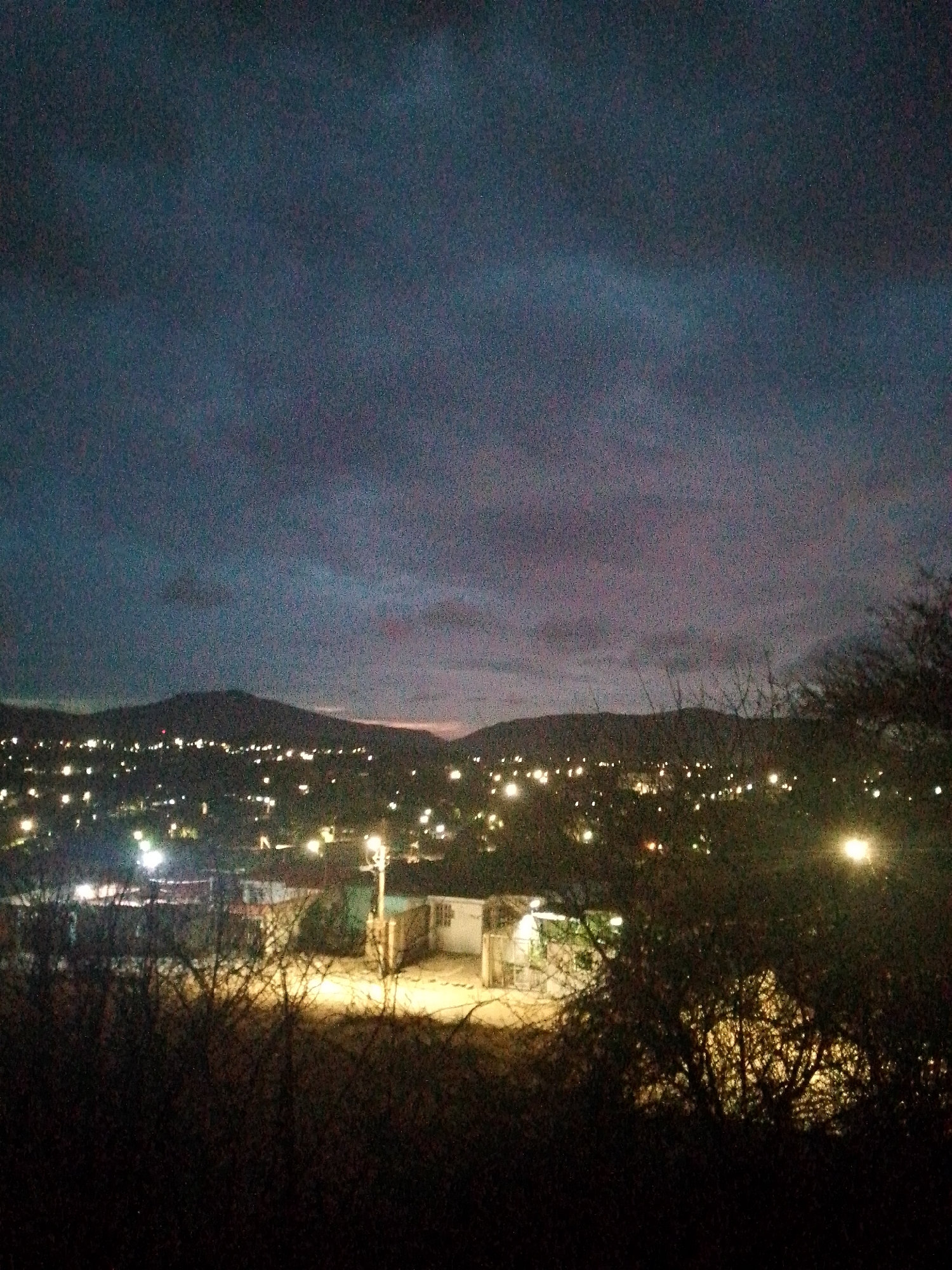 The image presents a nighttime view in Juan Griego, Venezuela. The foreground is dominated by dark, silhouetted bushes and branches. Beyond, the urban landscape unfolds under a cloudy sky that transitions from deep blue to a hint of pink near the horizon. Hills rise in the distance, marked by a sparse scattering of lights. Streetlights illuminate buildings, visible between the foliage. The overall impression is of a quiet, dimly lit scene.