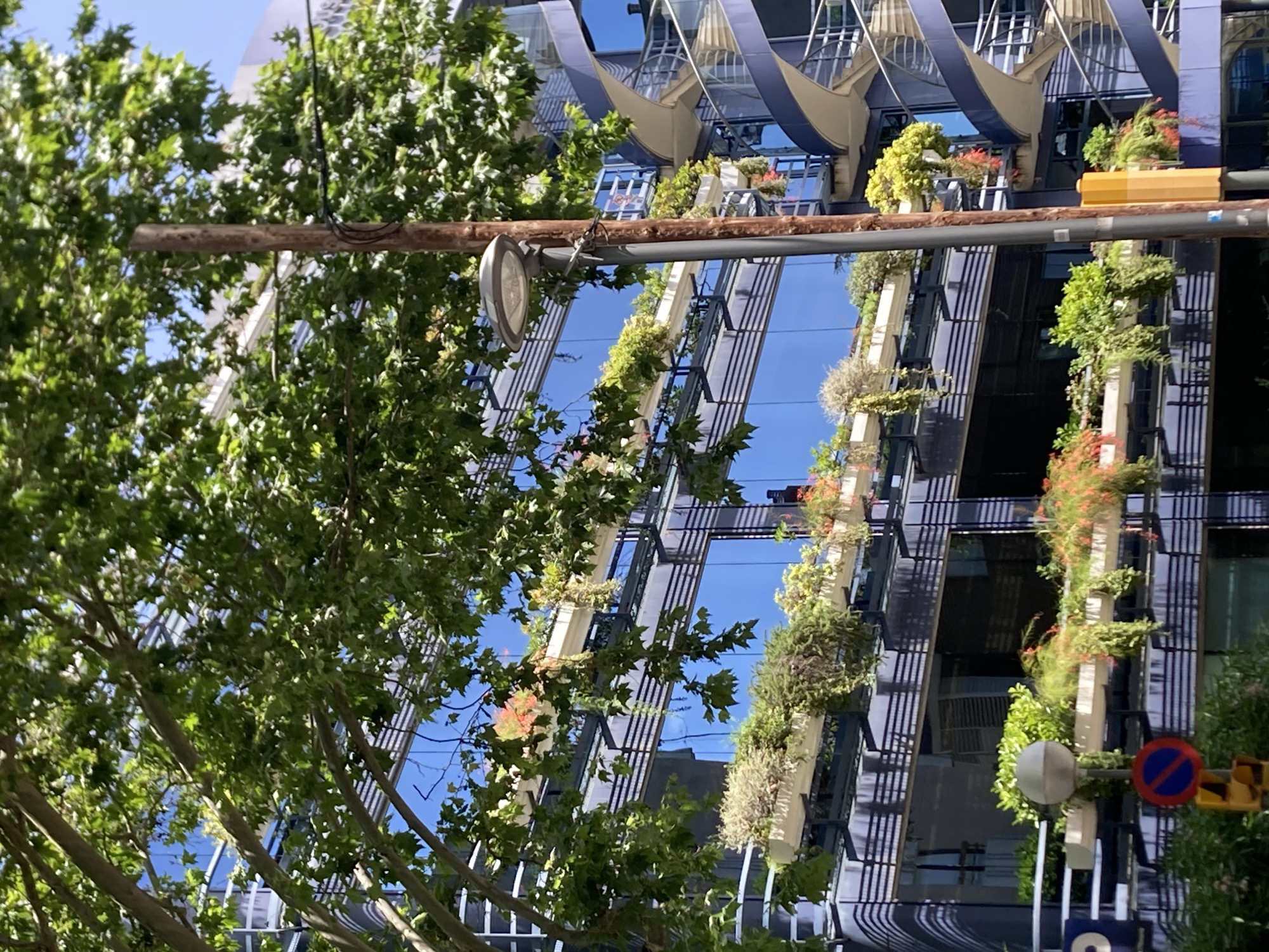 The photograph depicts a modern building with a reflective glass facade adorned with numerous planters filled with lush greenery and flowering plants. The planters are strategically placed along horizontal balconies that encircle the building. To the right, a spiral staircase with blue accents is visible, further emphasizing the contemporary architectural style. A wooden pole supporting a street lamp and traffic signals, including a "No Parking" sign, are in the foreground. A large tree with vibrant green leaves partially obscures the view of the building. The sky is a clear, bright blue, suggesting a sunny day. This building is located at 22@ district in Barcelona, Spain.