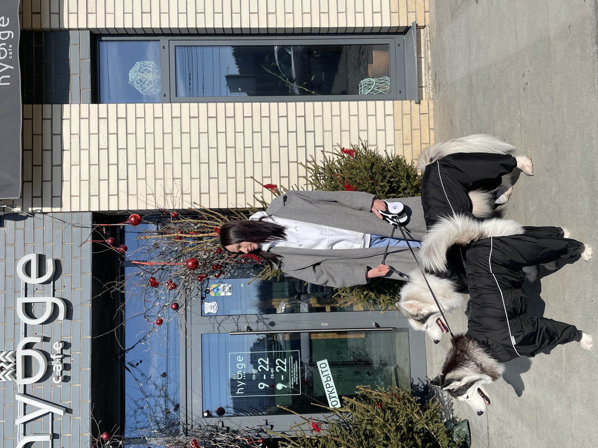 An outdoor scene captured in natural daylight depicts a woman with two large dogs standing on a paved sidewalk in front of a building identified as "hygge cafe" at 17 Lenin Street, Izhevsk, Russia.
The woman, with long dark hair, wears a grey overcoat, a white hooded sweatshirt, and light-colored jeans. She holds two retractable leashes in her right hand, connected to the two dogs positioned to her left. Her gaze is directed slightly to her right, away from the camera.
The dogs are Siberian Huskies or Alaskan Malamutes, both wearing black full-body protective suits with white reflective stripes. The dog in the foreground exhibits black and white fur, while the dog behind it is predominantly white with grey markings. Both dogs are standing calmly with their mouths slightly open, panting, and looking to their left.
The building facade features light beige brickwork, with a section of dark grey brick above the main entrance. The entrance consists of a glass door displaying the cafe's name, operating hours (9:00-22:00 daily), address, and a sign in Russian reading "ОТКРЫТО" (OPEN). Bare tree branches adorned with red spherical ornaments flank the entrance, along with small evergreen trees similarly decorated. To the right of the entrance are two tall, narrow windows. Reflections of trees and vehicles are visible in the glass surfaces of the door and windows. Shadows indicate a clear, sunny day.