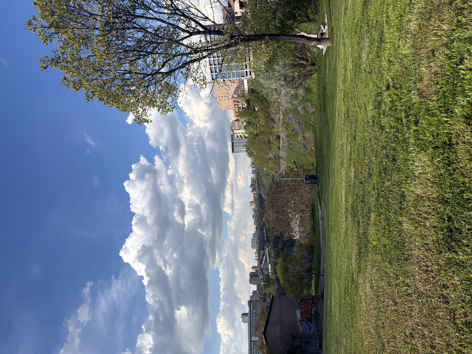 The image depicts a view overlooking the city of Yerevan, Armenia, from a vantage point within a park-like setting. The foreground consists of a grassy area, slightly uneven and textured. A tree with green foliage is positioned at the upper left. The cityscape is visible in the middle distance, with buildings of varying heights and architectural styles. The sky occupies a significant portion of the image, featuring a vibrant blue color interspersed with large, puffy white clouds. There are no people in clear view, but two people laying by a tree on a blanket can be seen. Graffiti is visible on a structure near the bottom of the image. The image is oriented in portrait mode.