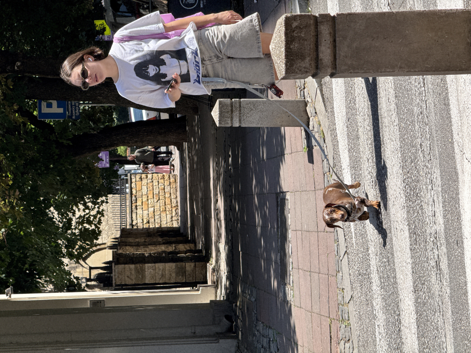 In Belgrade, Serbia, on a sunny day, a young woman with short brown hair, wearing sunglasses and a white t-shirt with a graphic print, walks a brown and white dachshund on a leash. The woman is holding a smartphone in her right hand and a pink bag is slung over her left shoulder. The dachshund is running across a pedestrian crossing, casting a shadow on the asphalt. The scene takes place on a sidewalk with stone bollards and trees lining the street. In the background, a stone building with an arched entrance and a black metal fence are visible. Another person and a child are walking in the distance. A blue parking sign is mounted on a tree.
