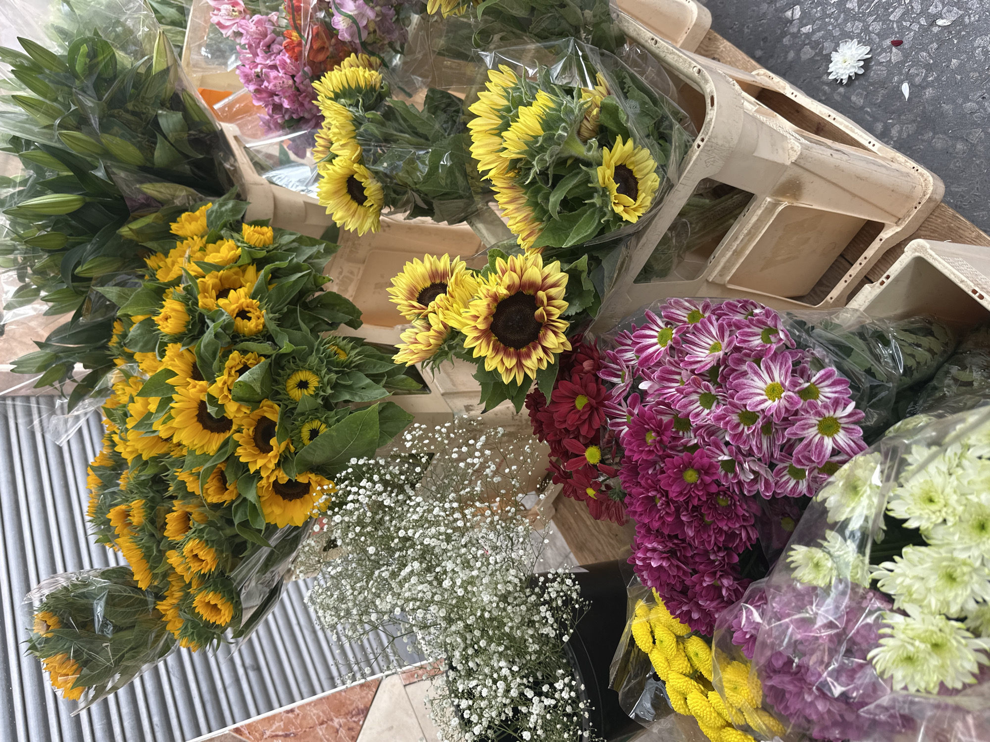 The image displays a vibrant, high-angle view of numerous fresh-cut flower bouquets, likely presented for sale at a market or florist stall. The scene is dominated by a rich assortment of blooms, bundled in clear plastic wrap.
Prominently featured are several large bouquets of bright yellow sunflowers, some with dark brown centers, and others exhibiting reddish-brown hues on their petals. Adjacent to these are various types of chrysanthemums, including bunches of deep purple, pinkish-purple with white centers, vibrant burgundy, and light green-white varieties. Bundles of green lily buds are also visible, tightly wrapped. Towards the bottom center, a large mass of delicate white baby's breath flowers adds a soft contrast to the more prominent blossoms.
The flowers are arranged in and around light-colored, possibly plastic, crates, suggesting commercial display or storage. The background surfaces vary, including a gray tiled or concrete floor with a few fallen white and red flower petals, a reddish-brown tiled area, a light brown wooden surface, and a metallic ribbed surface. The bright, even lighting indicates it is daytime. No discernible text is visible in the image. The overall impression conveyed is one of freshness, abundance, and natural beauty.