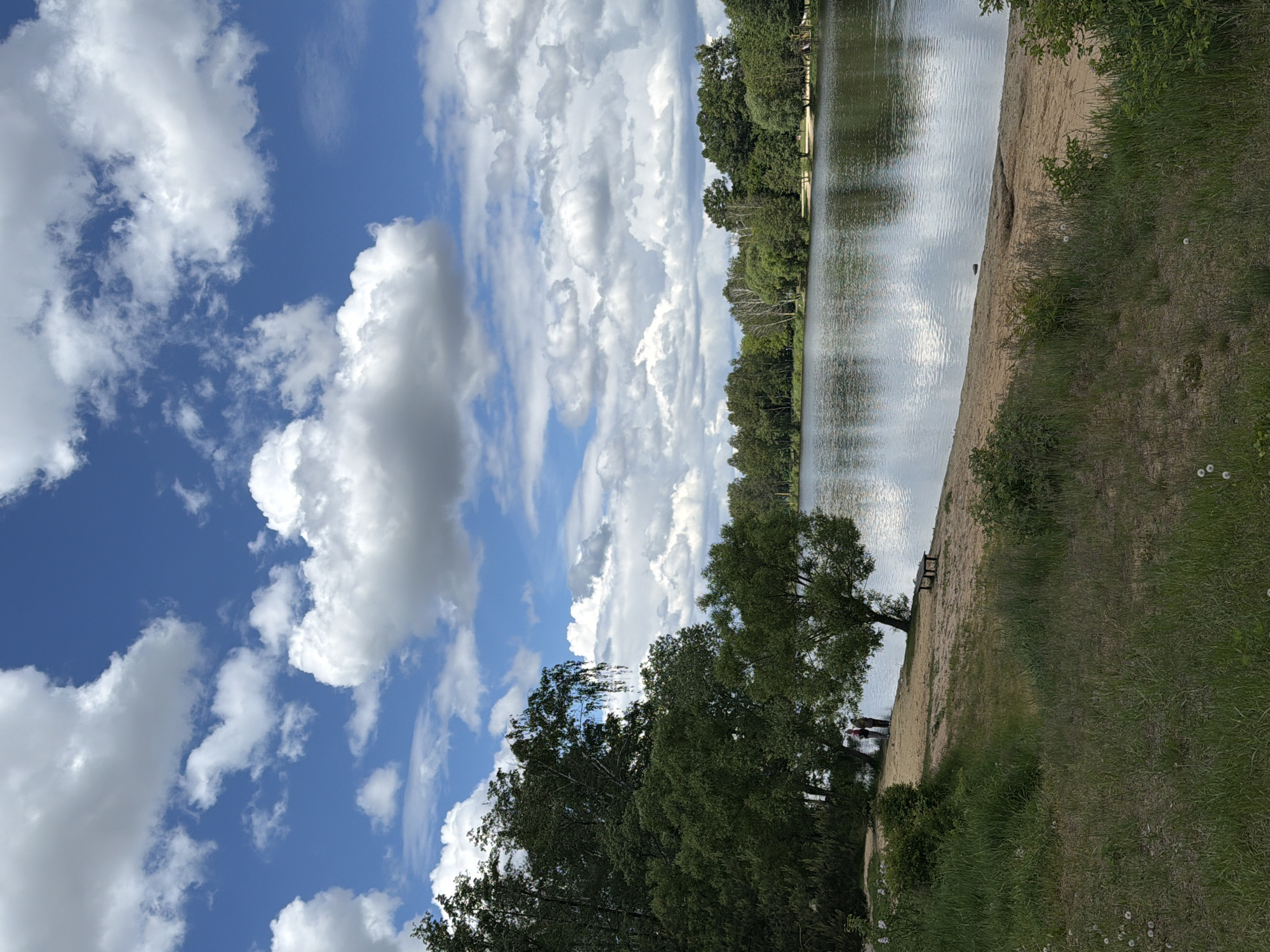 The photograph shows a lakeside view in Malakhovka, Russia. A body of water reflects the sky filled with fluffy white clouds against a backdrop of blue sky. The shoreline is sandy, transitioning into grassy terrain. Lush green trees line the opposite bank of the water and frame the shoreline on the right. Near the bottom edge, a tree leans towards the water, next to two people standing near the shoreline, and a bench is on the sandy beach to the right of the tree. The scene appears to be captured on a bright day.