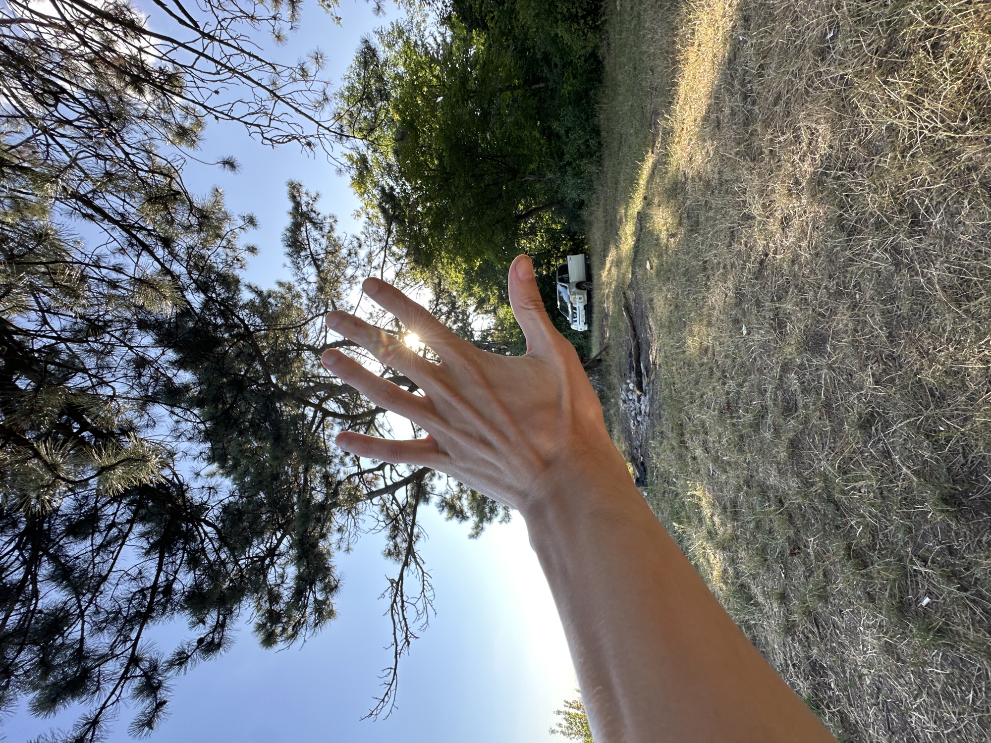 In Pryvorottia Druhe, Ukraine, a person's hand, fingers spread, is held up in the foreground, partially obscuring the sun. Behind the hand, a white SUV is parked in a grassy, sun-dappled clearing surrounded by trees. The scene is set outdoors, under a clear blue sky, with dry grass and scattered debris on the ground. Tall trees, some with needle-like leaves, frame the upper portion of the image.