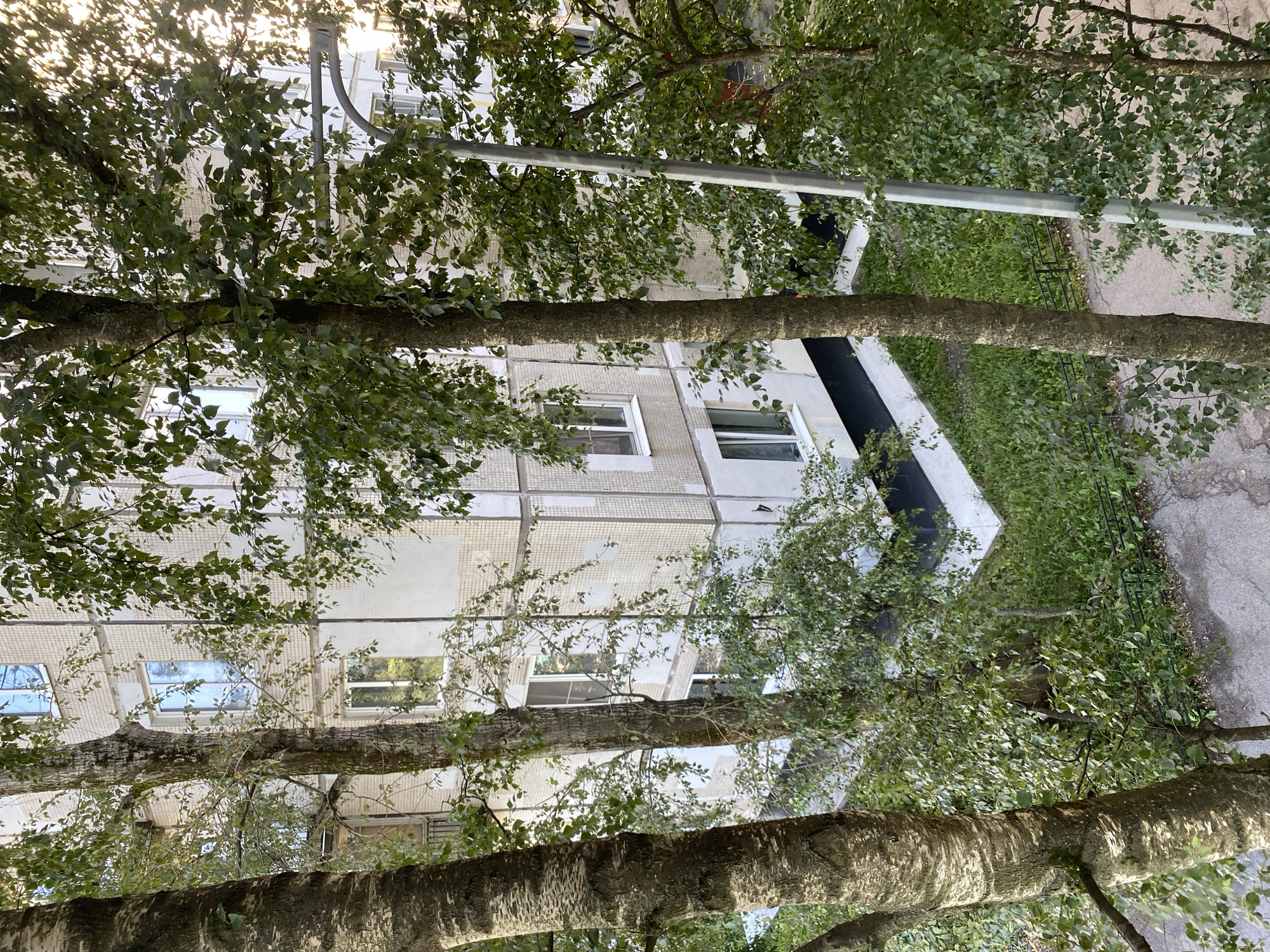 The image shows a view of a multi-story building in Saint Petersburg, Russia, seen through the leaves and branches of trees. The building appears to be made of concrete and is clad in small, light-colored tiles. Several windows are visible, some reflecting the sky and surrounding trees. In the foreground, there are tree trunks with rough, textured bark. A light pole with a curved arm is positioned on the right side of the frame, partially obscured by foliage. The ground below the building is covered with green grass and some paved areas. The overall impression is that of a residential courtyard in a Russian city, with natural elements interacting with the urban infrastructure.