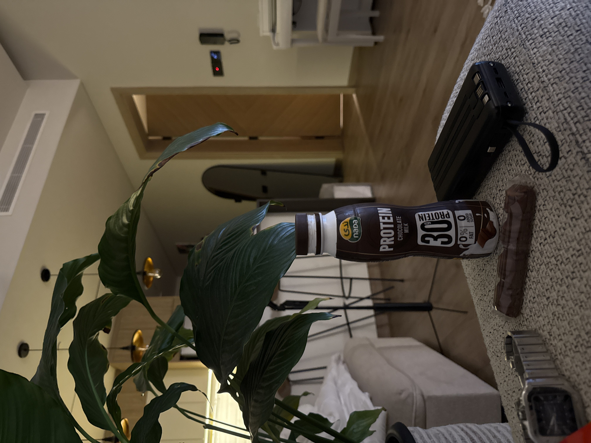 The image depicts an indoor scene with a large houseplant in the foreground, obscuring much of the background. On a textured grey surface in front of the plant, there is a bottle of "NADA PROTEIN CHOCOLATE MILK" with nutritional information visible. To the right of the bottle is a dark-colored portable charger with a black strap. To the left of the bottle lies a chocolate bar. Further left, a silver wristwatch with a metal band is also placed on the surface. In the background, the scene appears to be a living area or a lounge, with glimpses of furniture including a sofa, bar stools, and a white piano with a stool. A doorway is visible in the mid-ground, leading to another area. The lighting suggests an indoor setting, possibly during the evening or with ambient lighting. The image does not provide any explicit visual cues to pinpoint the location as Dubai, United Arab Emirates.