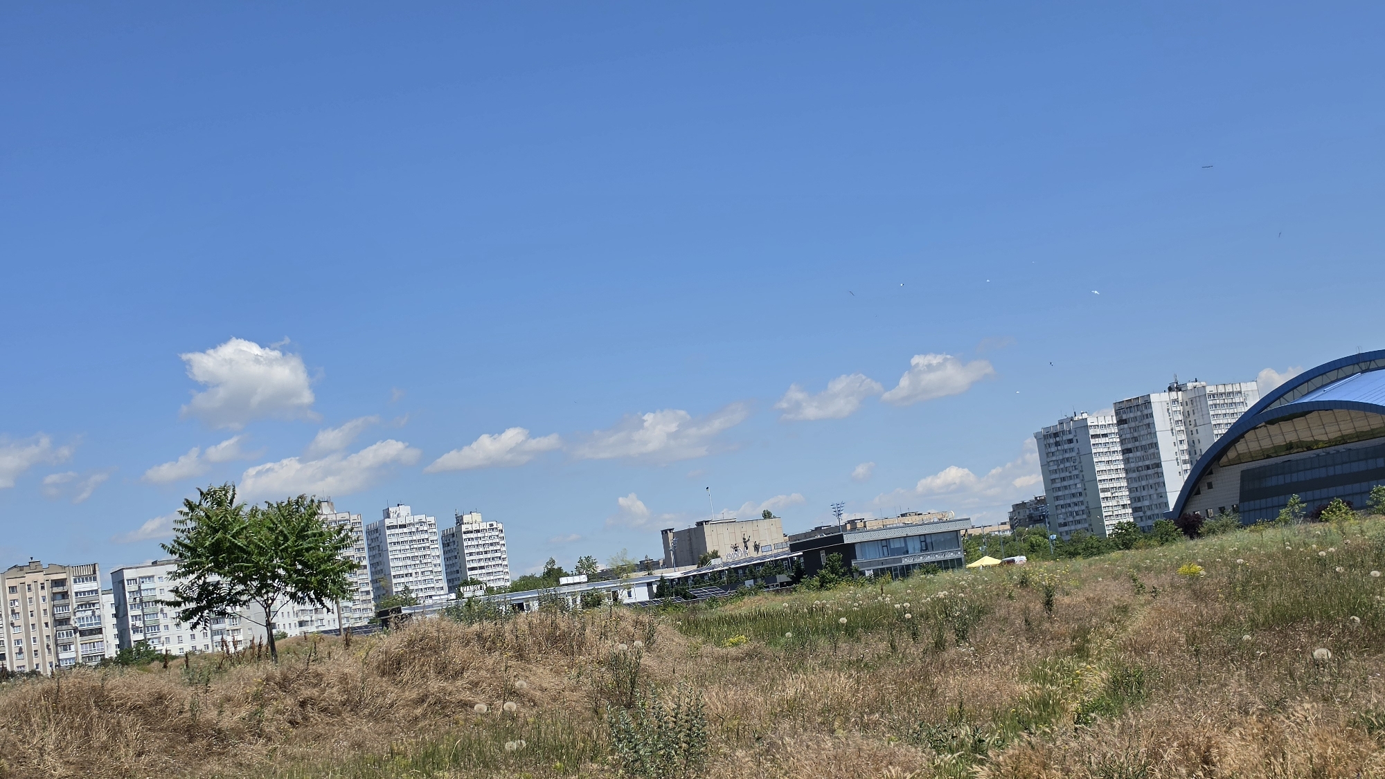 The image depicts a cityscape with tall apartment buildings, a modern building with a curved blue roof, and a grassy field in the foreground. The sky is bright blue with scattered white clouds. There is a lone tree in the middle ground. The field is overgrown with dry grass and some white fluffy plants. The scene appears to be a sunny day in an urban environment.