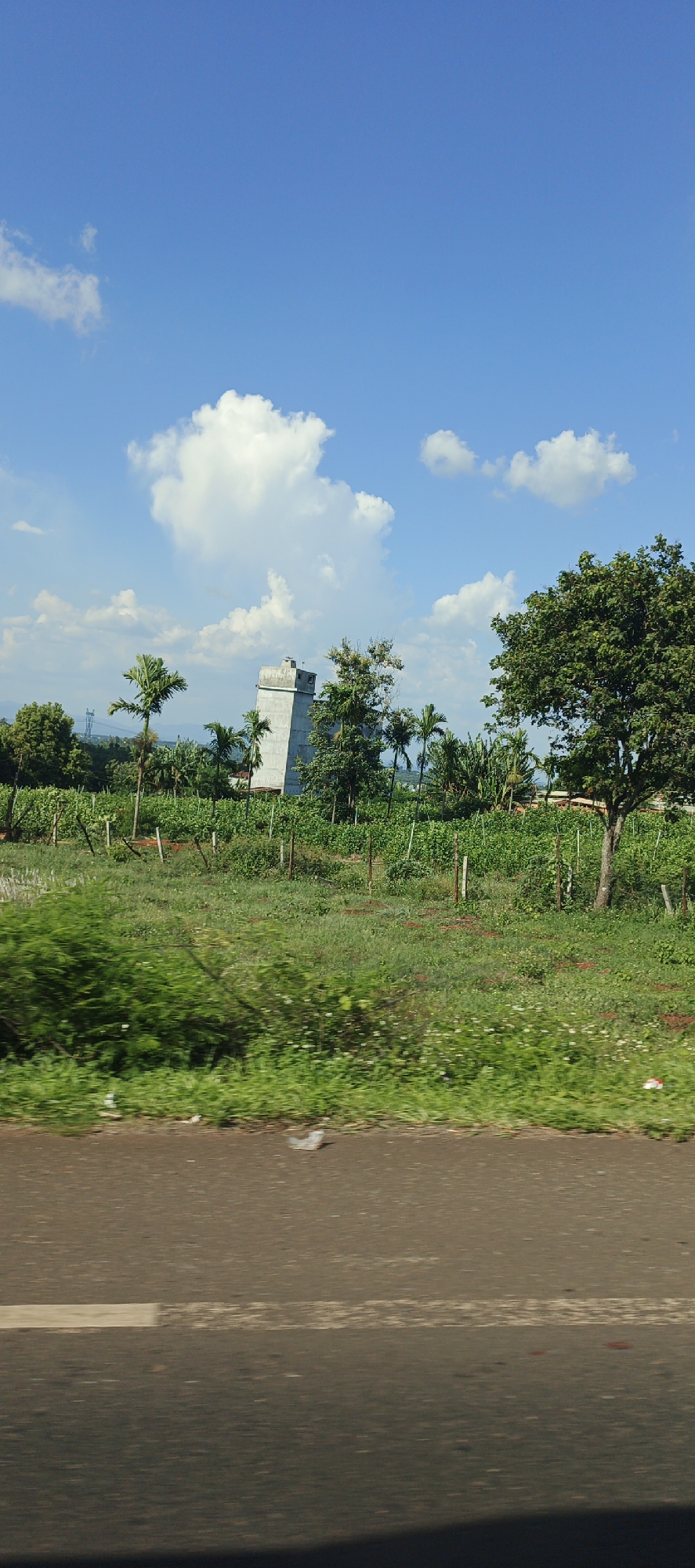In the city of Chư Sê, Vietnam, a light-colored, angular structure, possibly a tower or building, stands amidst lush green vegetation under a bright blue sky with scattered white clouds. The structure is positioned to the left of the frame, and appears to be made of concrete or a similar material, with visible edges and a distinct geometric shape. Surrounding the structure is a variety of plants, including palm trees and denser foliage, suggesting a rural or semi-rural setting. A dirt road with a white line is visible in the foreground, indicating a thoroughfare. The overall scene is one of natural landscape combined with a man-made edifice, bathed in daylight.