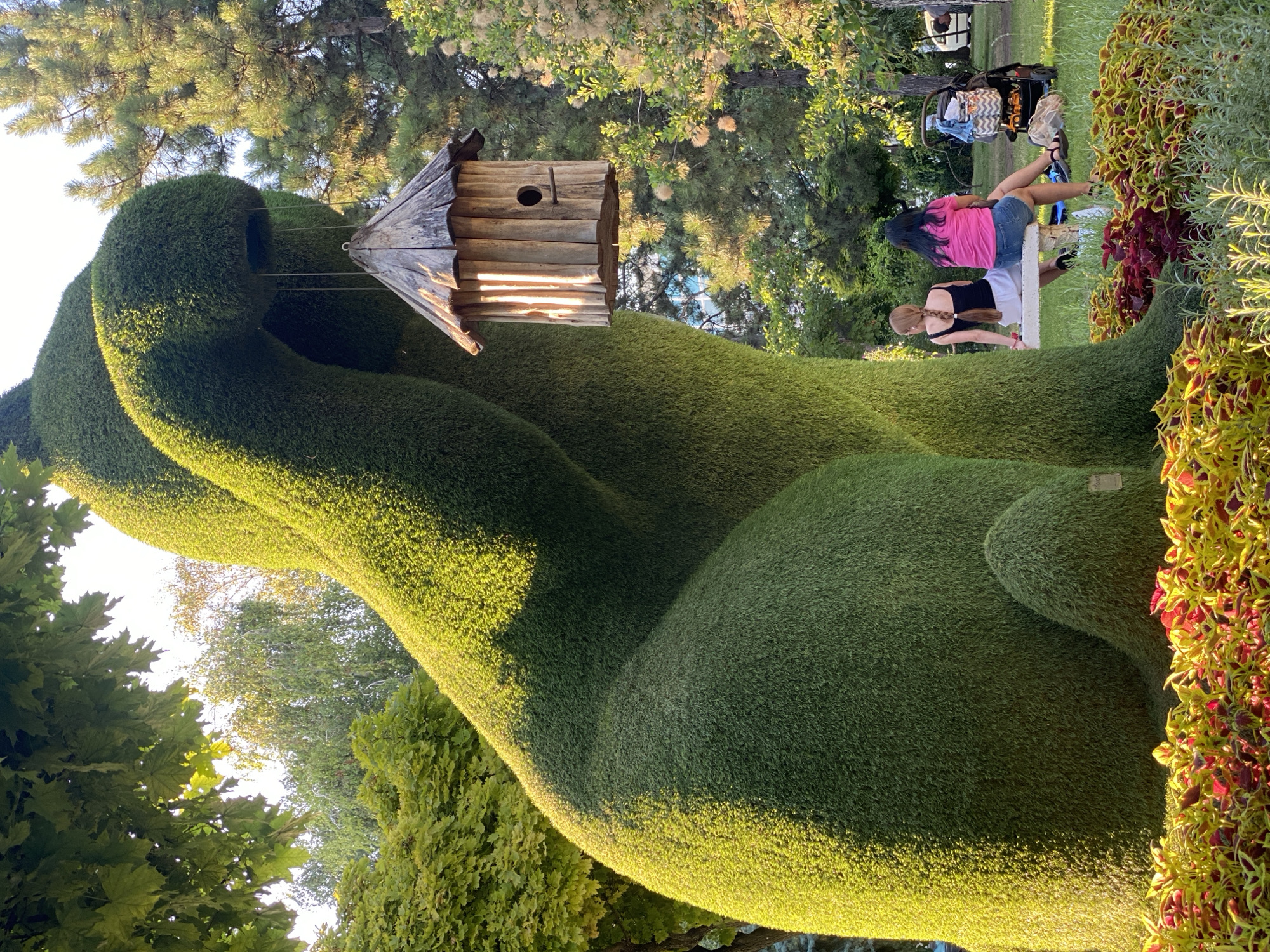 In Chișinău, Moldova, a large, green topiary shaped like a cat is the central focus of a park setting. The topiary is intricately shaped, with a prominent curved body and a small, rounded tail at its base. Suspended from the topiary by thin wires is a small, rustic wooden birdhouse.
In the foreground, a colorful bed of plants with red and yellow leaves adds a vibrant contrast to the green topiary. Behind the topiary, a concrete bench is occupied by two women. One woman, with long blonde hair in a braid, wears a black tank top and white shorts. The other woman, with long dark hair, is wearing a pink t-shirt and denim shorts. They are both facing away from the camera, observing the park.
To the right of the bench, a baby stroller with a patterned bag is parked on the grass. The background consists of lush green trees and foliage, with sunlight filtering through the leaves, creating dappled shadows. A part of a white car is visible in the far right background, indicating a public outdoor space.