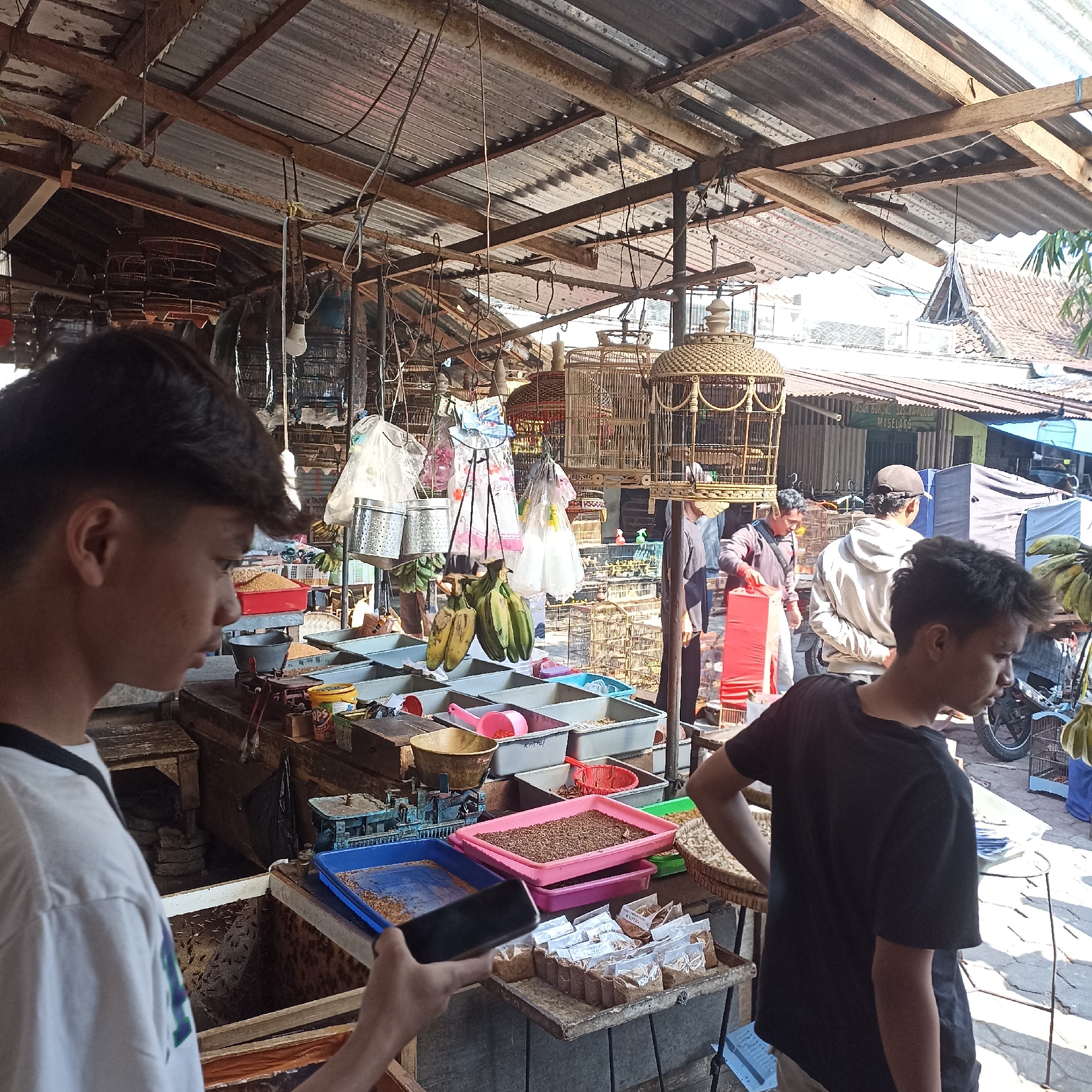 The image depicts a bustling outdoor market in Magelang, Indonesia, specifically a bird market. The foreground features two young males, one in a white t-shirt looking towards the left, and another in a black t-shirt facing away from the camera. The market stalls are laden with various goods, predominantly birdcages of different sizes and materials, ranging from intricate woven bamboo to simpler wire constructions. Suspended from the corrugated tin roof are numerous birdcages, some empty and others presumably containing birds. Bunches of bananas hang from a stall, adding a touch of color to the scene. In the background, other market-goers can be seen browsing and interacting, with signs indicating the market's name and location as "PASAR BURUNG SASANA MONIR MAGELANG." The overall environment is rustic and somewhat chaotic, characteristic of a traditional Indonesian market.