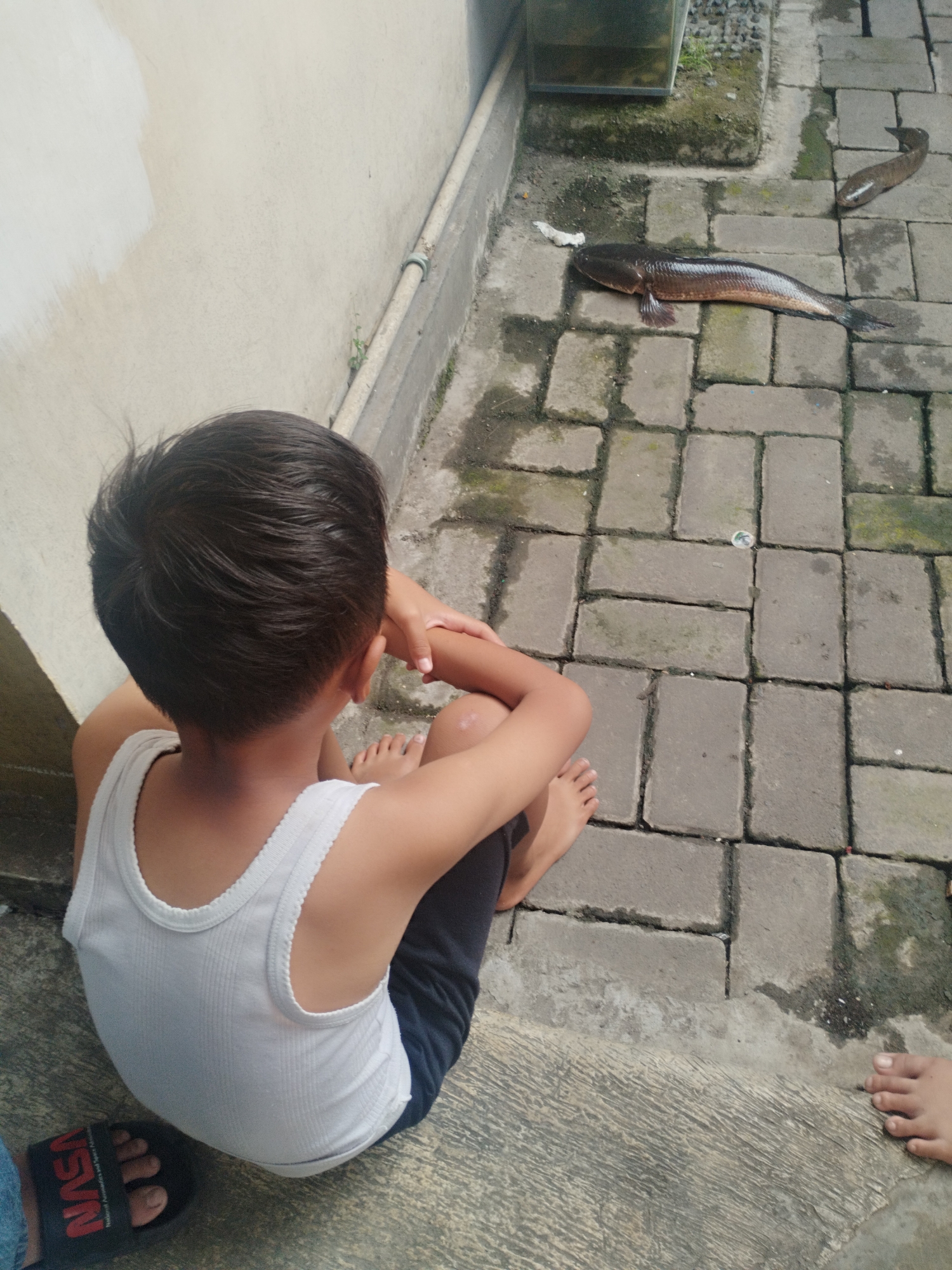 A young boy, from behind, wearing a white tank top and dark shorts, sits on a textured concrete surface. His feet are bare, except for his left foot, which is partially covered by a black sandal with "NASA" printed on it. The boy is looking towards a paved area made of gray rectangular bricks. On this paved area, two dark-colored fish are present. One larger fish lies horizontally, and a smaller fish is positioned further away and angled slightly upwards. The environment appears to be outdoors, with a concrete wall and a pipe visible in the background, along with some greenery. The scene is likely a residential area in Surabaya, Indonesia, possibly a backyard or patio.