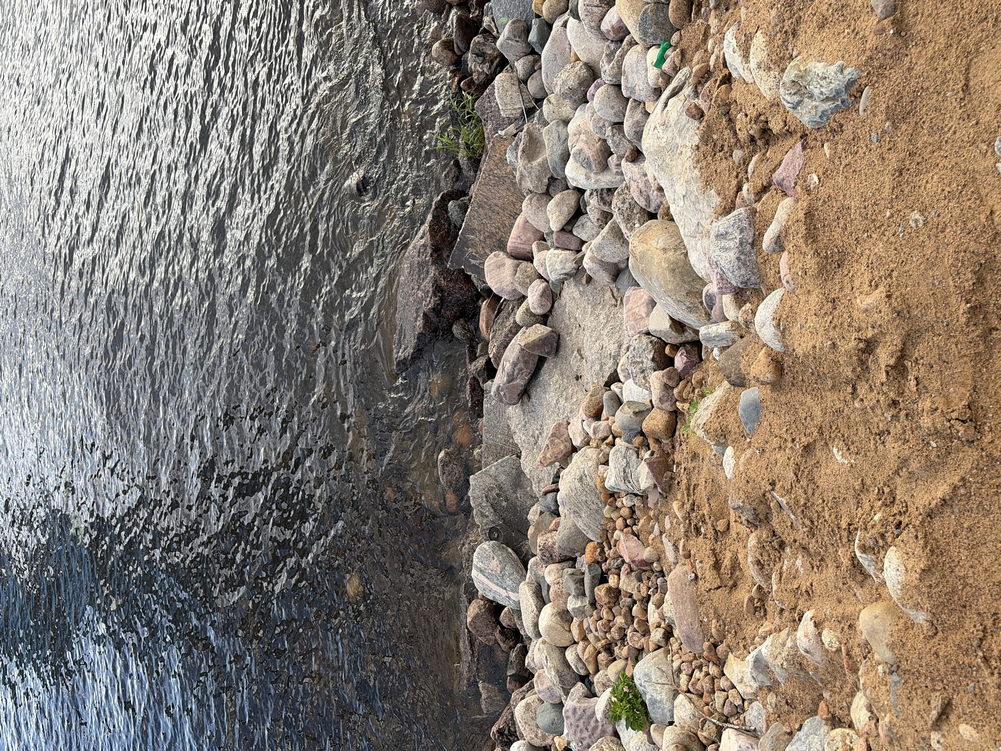 The image depicts a close-up, eye-level view of a body of water meeting a sandy and rocky shore. The water, in the upper portion of the frame, is dark and choppy, with sunlight glinting off its surface, creating a dappled effect. The shore in the foreground is composed of loose, light brown sand with numerous rocks of varying sizes and colors. The rocks are predominantly grey, pink, and brown, some smooth and rounded, others more angular. There are also smaller pebbles mixed in with the sand. A few small patches of green vegetation are visible amongst the rocks. The scene appears to be a natural waterfront, possibly a beach or the edge of a lake or river. There are no people or discernible man-made structures in the immediate vicinity. The overall impression is one of a natural, somewhat rugged shoreline. The location is not specified within the image, and therefore the city of Unknown, Russia, is an assumption not supported by the visual information.