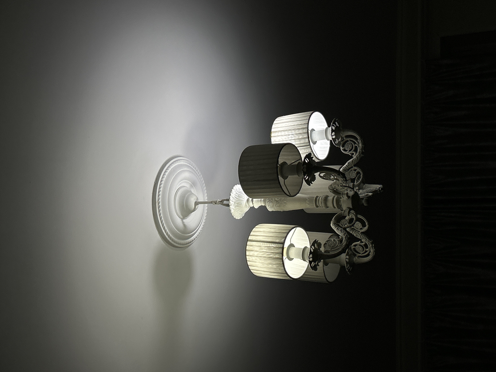The image features an ornate, white wall-mounted light fixture in an interior setting. The fixture, designed in a classical style, includes decorative scrolling metalwork and extends into three arms, each supporting a cylindrical lampshade. The lampshades, made of a light-colored, possibly ribbed material, are illuminated from within by bright, artificial light bulbs, casting a soft, warm glow. The fixture is secured to the wall by a round, decorative mounting plate with concentric rings and a scalloped edge.
The light emanating from the fixture brightly illuminates the immediate surrounding wall, creating a stark contrast with the rest of the scene. The wall on the left appears light, likely white or pale grey, and shows a strong gradient where the light falls. To the right, the environment transitions into deep shadow, revealing a dark wall or a large object with a subtle horizontal texture, possibly dark wood paneling.
The dramatic lighting suggests the image was taken in a dimly lit room or at night, with the fixture serving as the primary light source. No people are present, and no specific activity is taking place. The elegant and traditional design of the fixture is in keeping with decorative styles often found in historic European cities, such as Saint Petersburg, Russia. There is no visible text in the image.