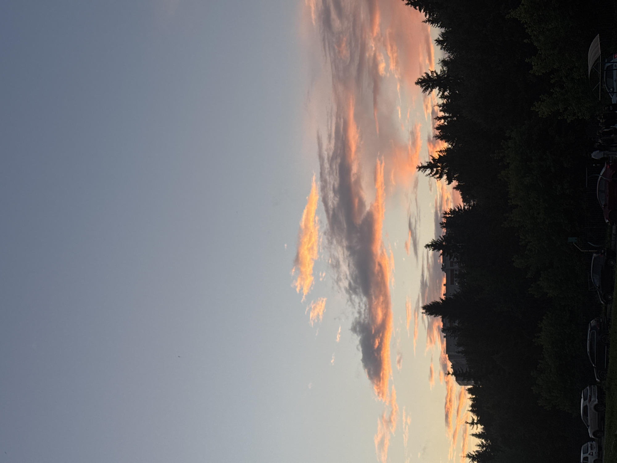 The image shows a silhouetted forest line against a sky with sunset clouds. In the background, there is a tall building. In the foreground, several cars are parked, and a small group of people is visible on the right. The scene appears to be in a park or recreational area within the city of Izhevsk, Russia, likely during the evening hours.