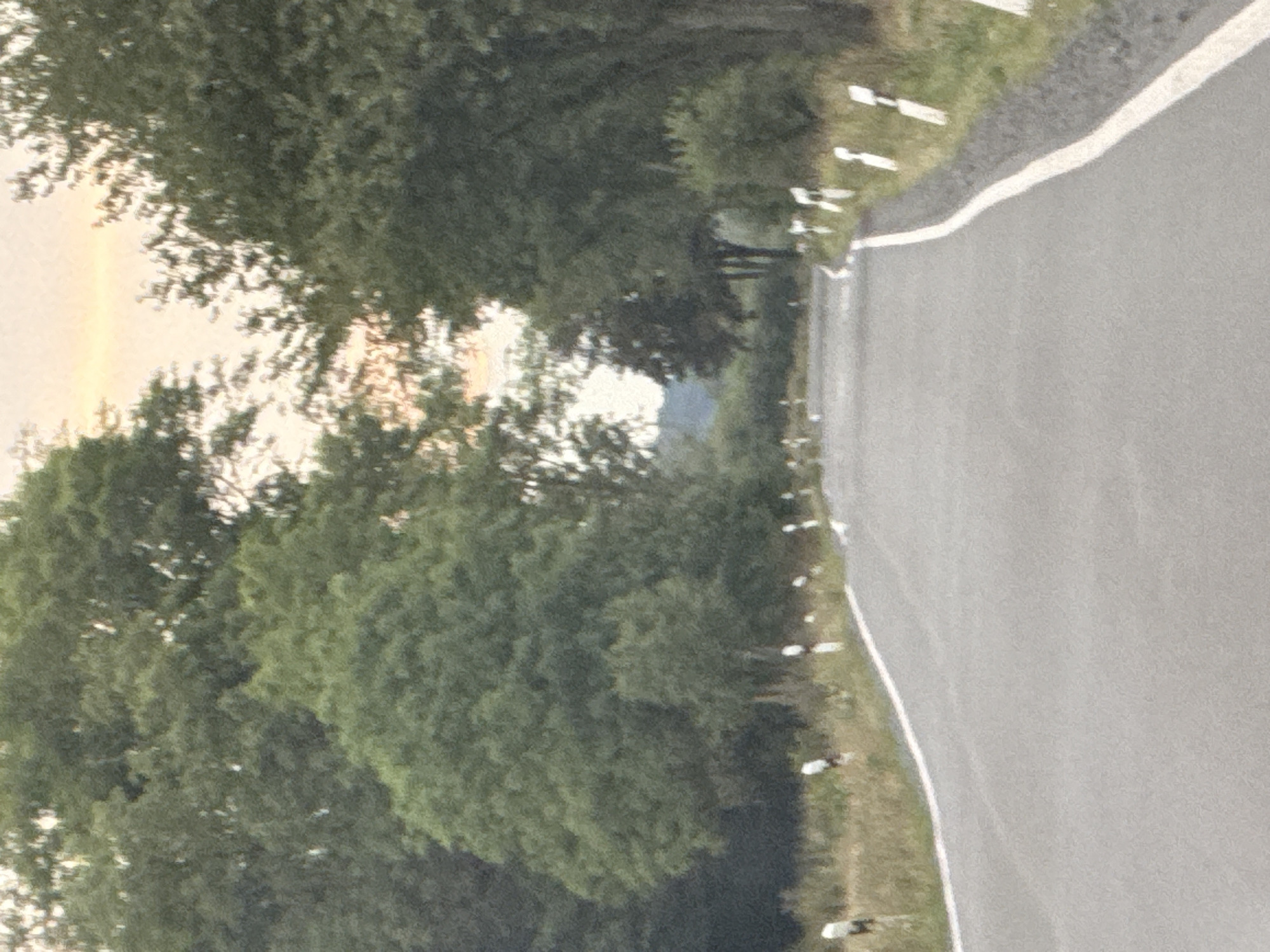 The image shows a two-lane asphalt road winding through a wooded area. The road has a white line marking the edge and a broken white line in the center. Along the sides of the road are white markers with black tops, indicating the edge of the road and potential hazards. The trees are lush and green, suggesting a warm season. The sky is a pale orange and yellow, indicative of a sunset or sunrise. The overall scene conveys a sense of quiet travel through a natural landscape.