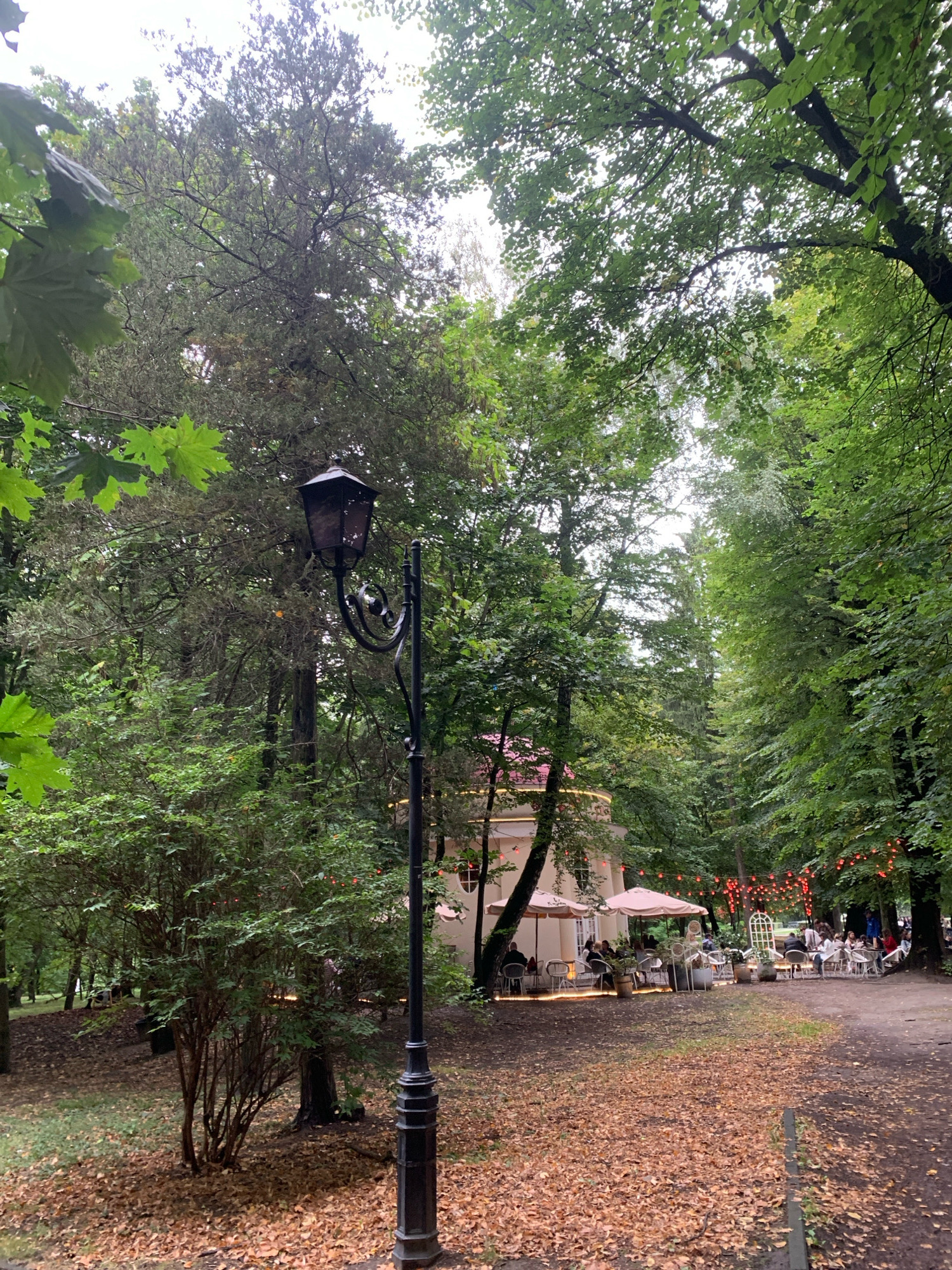 The image depicts a scenic outdoor seating area at a cafe or restaurant in Lviv, Ukraine, surrounded by lush greenery. In the foreground, a black vintage lamppost stands tall on a pathway covered with fallen leaves. Behind the lamppost, a small, dense shrub with red berries is visible. To the right, the pathway leads to a cluster of tables and chairs set up under cream-colored umbrellas, indicating a dining area. A light-colored, circular building with arched windows is partially visible behind the tables. String lights with red bulbs are draped overhead, creating a festive ambiance. Several people are seated at the tables, engaged in conversations and enjoying their time. The background is dominated by tall trees with dense green foliage, suggesting a park-like setting. The overall atmosphere is peaceful and inviting, with the natural beauty of the surroundings complementing the cafe's setup.