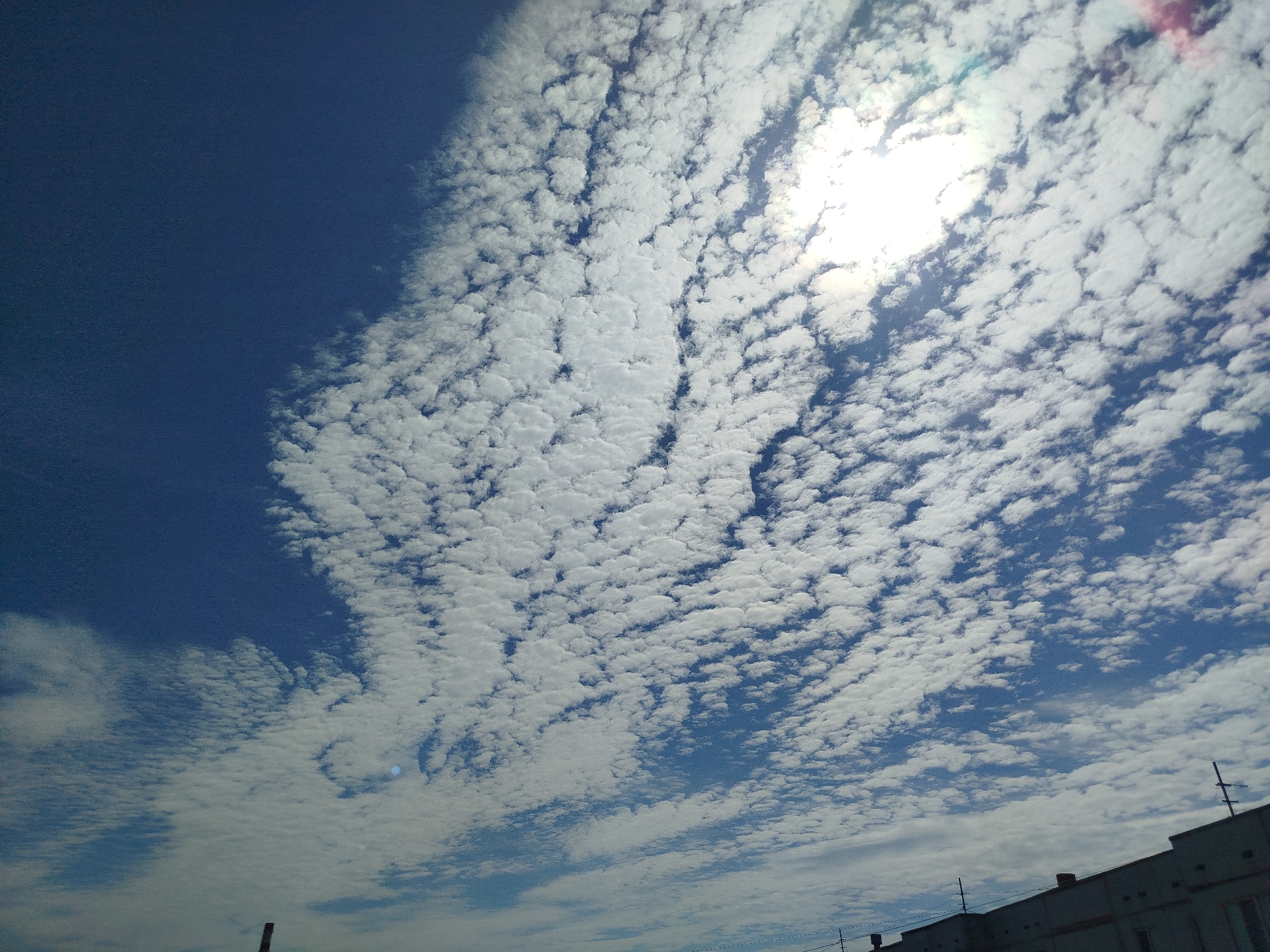 A bright, sunny sky with scattered clouds is visible in the image. The sun is partially obscured by clouds, creating a halo effect. The clouds are white and appear fluffy, forming streaks across the blue sky. In the lower part of the image, the tops of buildings and antennas are visible, suggesting an urban or suburban setting. The colors are vibrant, indicating daytime. There are no people or animals in the image. The scene appears to be a view from ground level, looking upwards. There is no specific information or visual cues in the image to identify the location as Pskov, Russia.