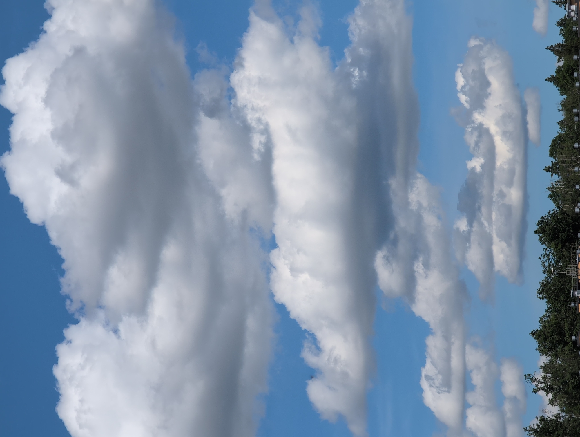 The image captures a bright blue sky filled with large, fluffy white and gray cumulus clouds. The bottom of the frame shows a dense line of dark green trees, topped with what appear to be industrial buildings or structures, possibly part of a rooftop or industrial area, jutting out from behind the trees. The scene suggests an outdoor view, likely from a slightly elevated position looking upwards. The presence of industrial structures behind the trees and the overall composition does not provide specific clues to pinpoint a precise location within Saint Petersburg, Russia, beyond the general indication of a sky and cityscape.