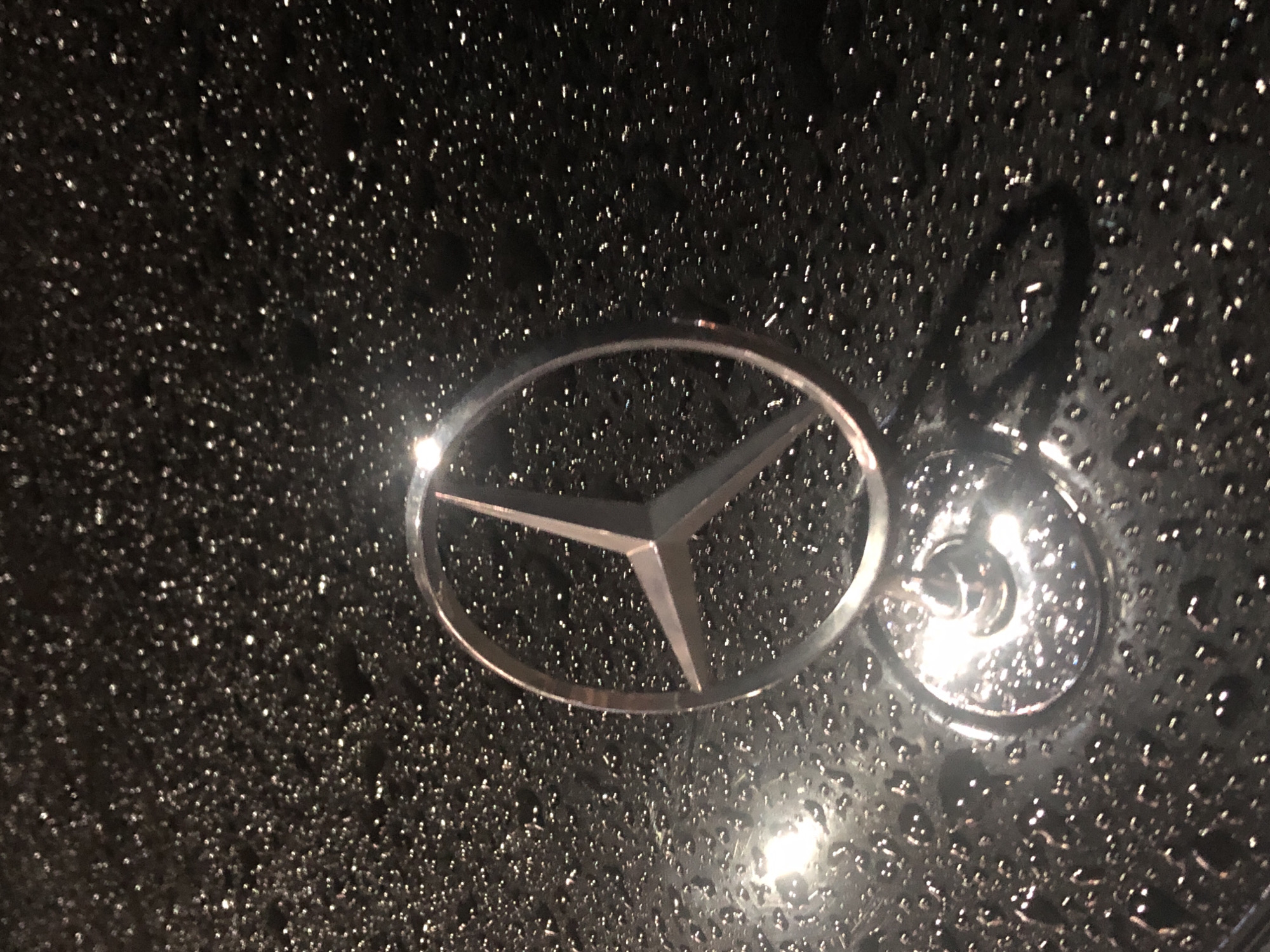 This media file displays a close-up, slightly angled shot of the Mercedes-Benz logo emblem, which is wet with numerous small water droplets. The emblem is chrome and reflects light, appearing silvery and metallic. It is set against a dark, possibly black, background that is also covered in water droplets, giving it a textured, glistening appearance.
The lighting suggests an artificial light source, possibly a flash or a bright overhead light, as evidenced by the strong reflections and highlights on the water and the emblem. The time of day is not directly discernible, but the wetness implies recent rain or washing. The location cues point to Petropavlovsk-Kamchatsky, Russia.
The image focuses solely on the emblem and the wet surface it is on. There are no people, animals, or discernible environmental features other than the water. The overall impression is one of a vehicle's exterior, likely the hood or trunk, after it has been exposed to rain or washed. The focus on the iconic emblem suggests a pride in the vehicle or an appreciation for its design. No text is visible in the image.