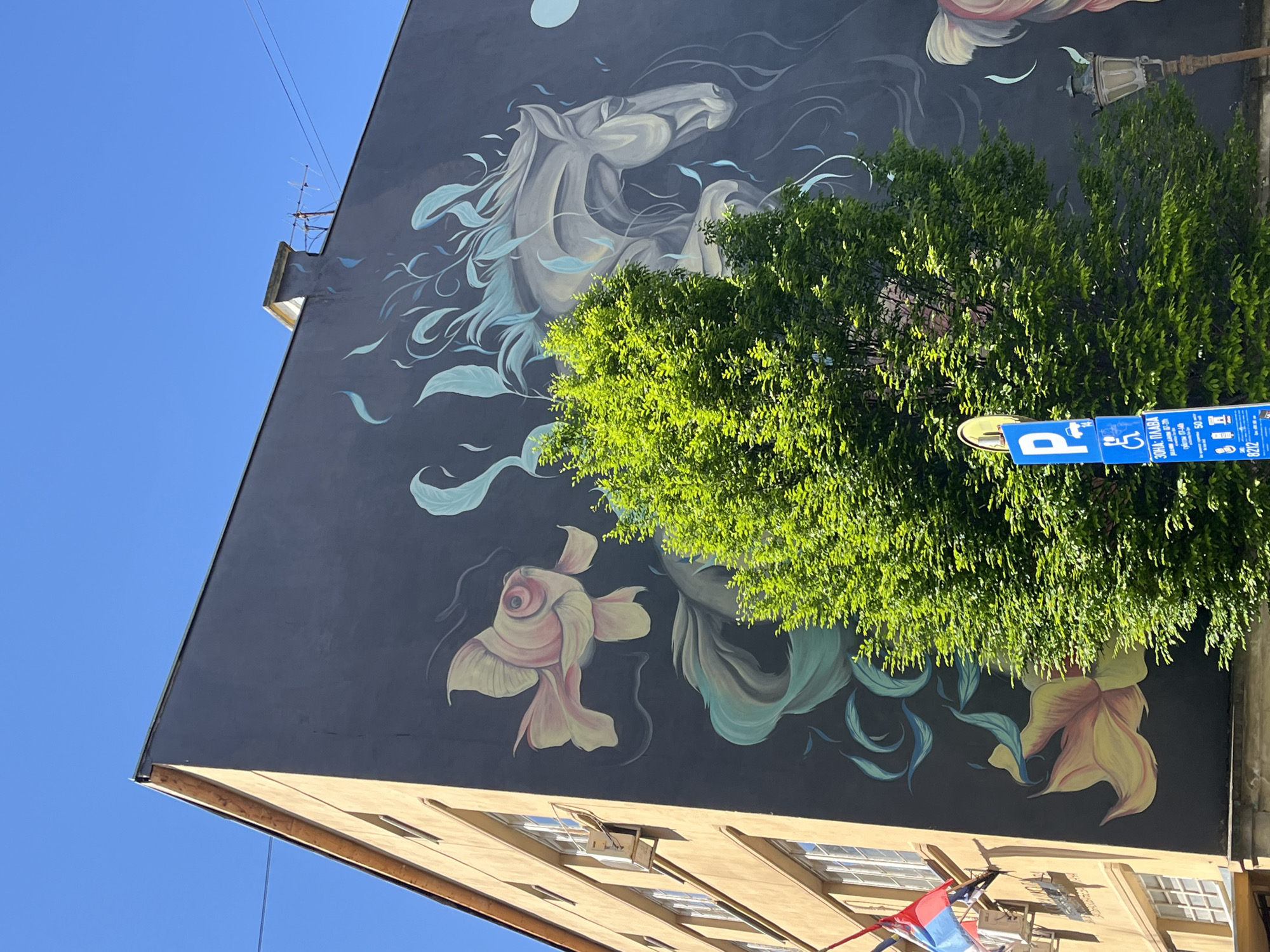 The image, captured from a low angle, is rotated counter-clockwise, showing a large building facade dominated by a vibrant mural. The mural, set against a dark grey background, depicts a stylized grey horse's head with flowing light blue, leaf-like tendrils. Below the horse, a golden-pink fish is visible, and further right, a large yellow and pink flower is painted.
A dense, bright green tree partially obscures the mural in the mid-ground, its leaves brightly illuminated by clear daylight. The lower section of the building, painted in a light brown or tan, features several windows, some open, and what appears to be a red, white, and blue flag towards the bottom right. An antenna is visible on the roofline against a clear, expansive blue sky that dominates the upper left of the frame.
On the right side, partially hidden by the tree, is a blue street sign indicating parking. It features a white 'P' symbol, a wheelchair icon, and Cyrillic text including "ЗОНА: ПЛАТБА" (ZONE: PAYMENT), along with numbers such as "07-20" and "07-14", likely denoting parking hours or zone information. Other symbols for payment methods are also visible on the sign. A traditional street lamp fixture also peeks from behind the tree. The scene is bathed in bright sunshine, indicating a clear, daytime setting in Novi Sad, Serbia.