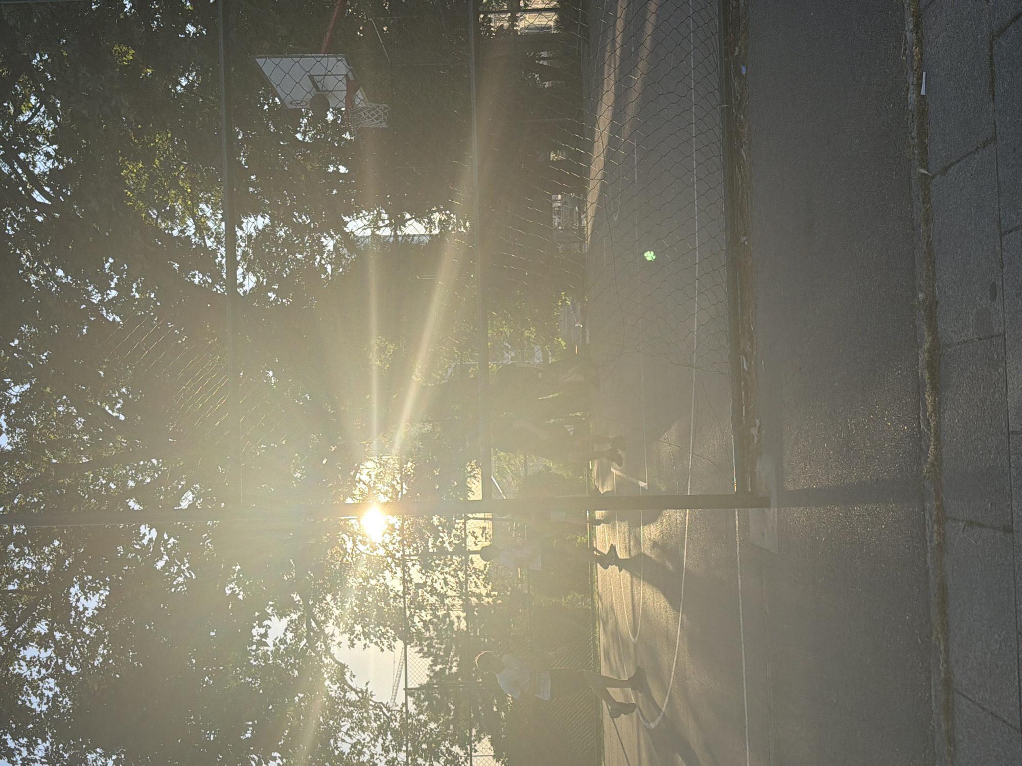 The image depicts a basketball court in Belgrade, Serbia, partially obscured by trees and sunlight. A basketball hoop and net are visible in the upper left corner. A chain-link fence runs along the side of the court. Several people are standing on the court, their actions and interactions obscured by the bright sunlight. The court surface is marked with white lines. The environment includes trees and other vegetation. The image is taken from an elevated perspective.