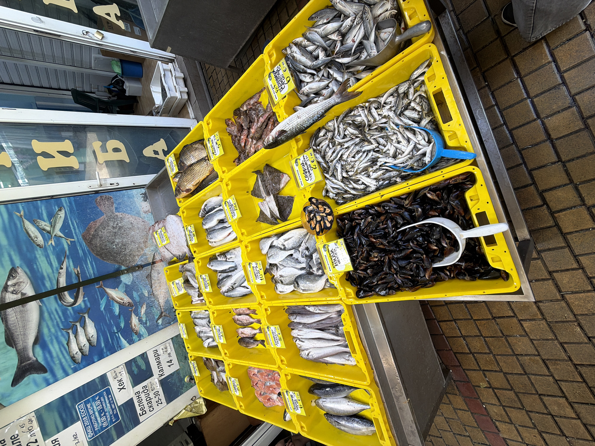 The image captures a fish market in Burgas, Bulgaria. Yellow plastic crates, organized on a metal shelving system, display a variety of fresh seafood. Types of fish include carp, flounder, mussels, and other small silvery species. Prices are indicated on yellow tags next to the products. A blue and a white scoop are placed among the fish, presumably for serving customers. The fish market is located next to a building with a sign written in Cyrillic script and a poster featuring various fish illustrations. The ground consists of reddish-brown brick paving.