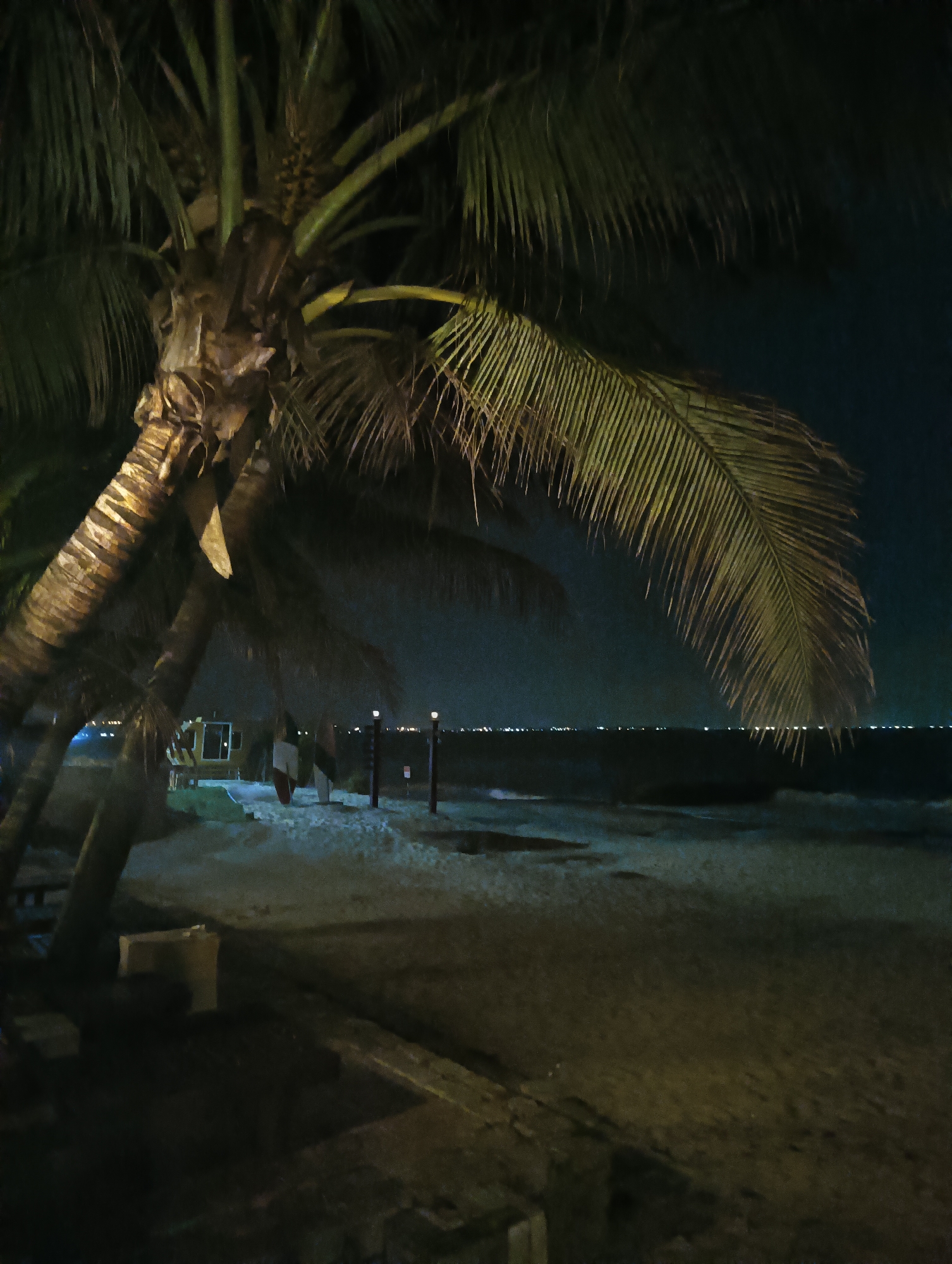The image captures a nighttime scene at a beach in Mũi Né, Vietnam, dominated by a large palm tree in the foreground. The palm tree's trunk is thick and textured, with its fronds extending across the frame, partially obscuring the view of the background. The fronds are illuminated by artificial light, giving them a greenish-yellow hue.
Beyond the palm tree, a sandy beach stretches towards the ocean. The water is dark, with gentle waves visible. The horizon is marked by a faint line of lights, suggesting a distant settlement or coastline. The sky is dark, indicating it is nighttime.
Several objects are scattered on the beach. In the middle ground, there appears to be a small yellow structure, possibly a booth or a lifeguard station, with a window. Near this structure, two surfboards are leaning upright in the sand. There are also a few lampposts or light fixtures visible on the beach, casting pools of light on the sand. A light-colored rectangular object, possibly a bench or a bin, is situated to the left of the palm tree. A wooden structure or railing runs along the edge of the sand in the foreground, casting a shadow. The overall impression is one of a quiet, tropical beach at night, with man-made elements providing illumination and points of interest.