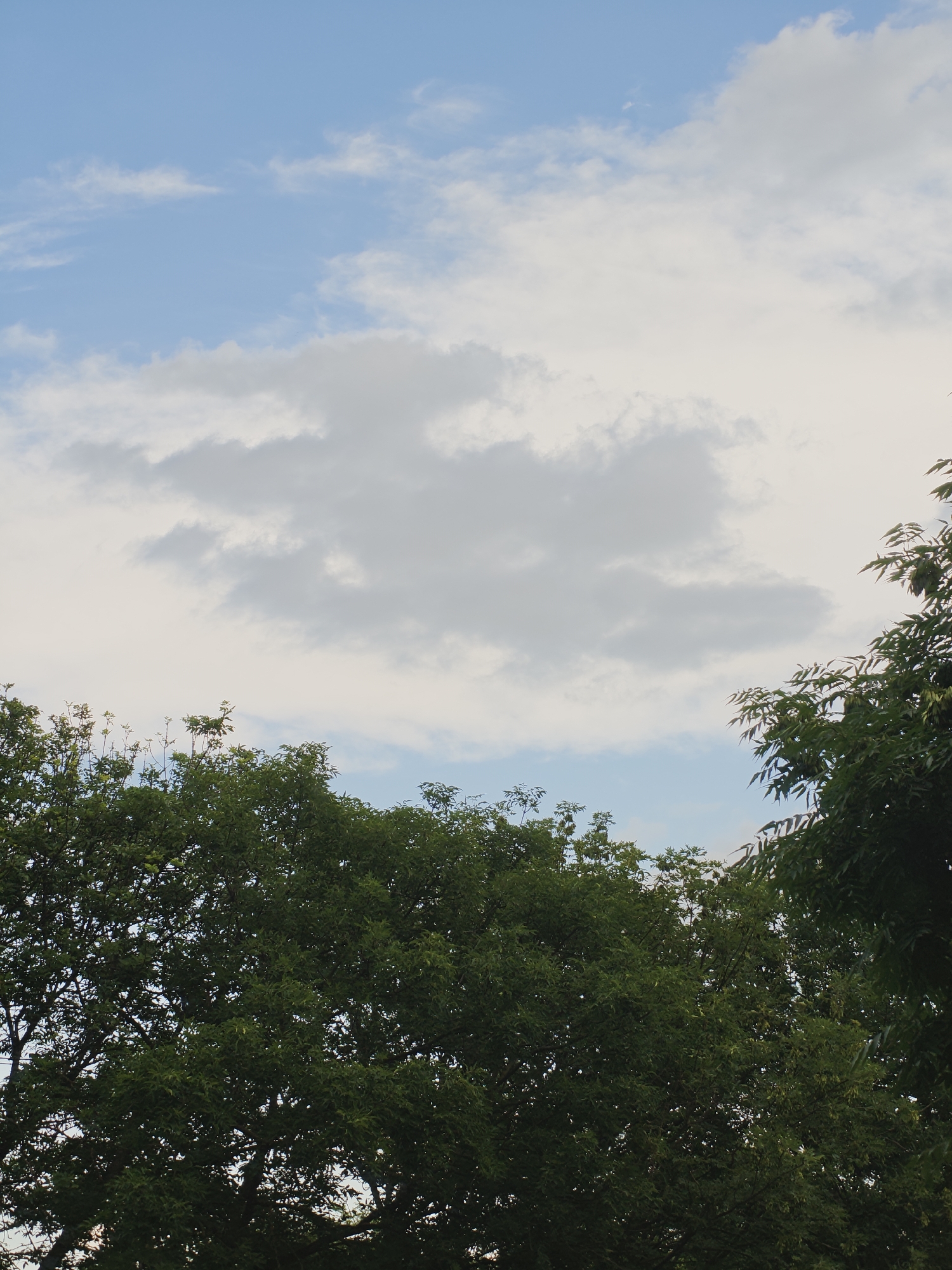 The image shows a view of the sky and the tops of trees in Pyatigorsk, Russia. The sky is mostly clear with some scattered white and gray clouds. The trees are lush and green, suggesting a warm season. The overall impression is one of nature dominating the urban landscape from this vantage point.