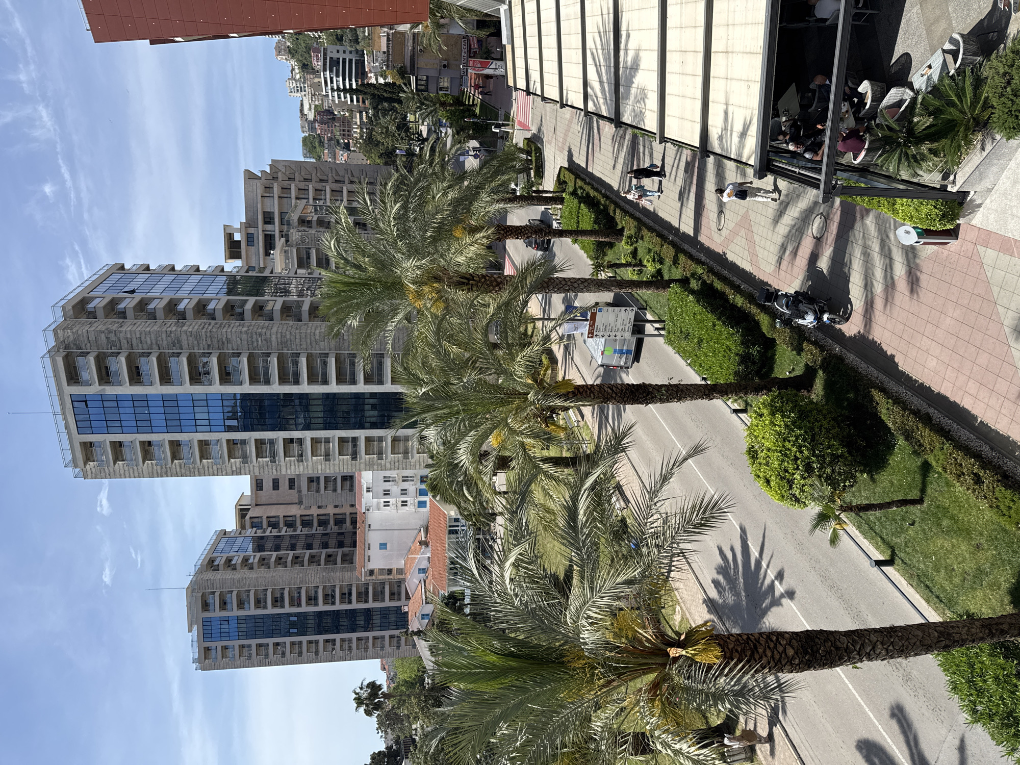 This is an eye-level photograph of a street in Budva, Montenegro, facing away from the camera. Palm trees line the street in the foreground and in the midground on both sides of the street, which is lined with green shrubbery. Tall buildings are visible on the left side of the street in the midground and background. On the right side of the street, there is a covered outdoor seating area with people sitting and walking around. Further down the street, people are walking. A parked scooter is also visible on the right side of the street. The weather appears to be sunny and bright with a blue sky.