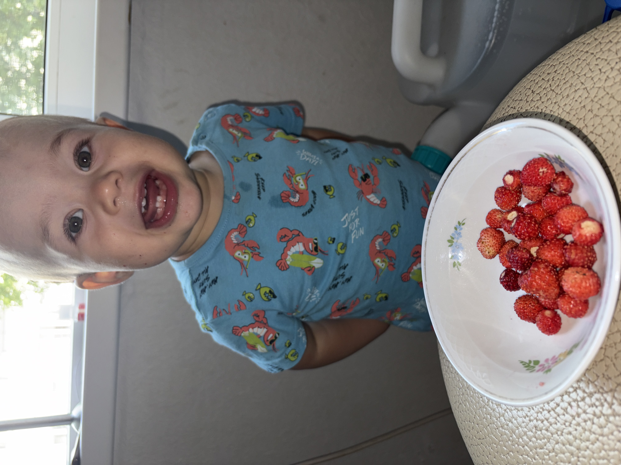 The media file shows a close-up, upside-down, medium shot of a young child with light hair and blue eyes. The child is wearing a light blue t-shirt with a repetitive pattern of cartoon lobsters and fish, some of which are on surfboards. The child's mouth is open, revealing their teeth, and they appear to be smiling or laughing, conveying a joyful emotion. To the right of the child, a white bowl filled with wild strawberries is visible. The bowl has a delicate floral pattern around its rim. In the background, a large grey plastic container with a white handle and a blue spout can be seen, along with a textured beige surface, possibly a piece of furniture or seating. A window with trees visible outside is on the left side of the frame. The overall scene suggests a casual, indoor setting, likely a home. There is no explicit indication of the time of day or weather, but the natural light coming from the window suggests it is daytime. The child's expression and the presence of the strawberries hint at a moment of enjoyment or snack time. The location context is Chaikovsky, Russia.