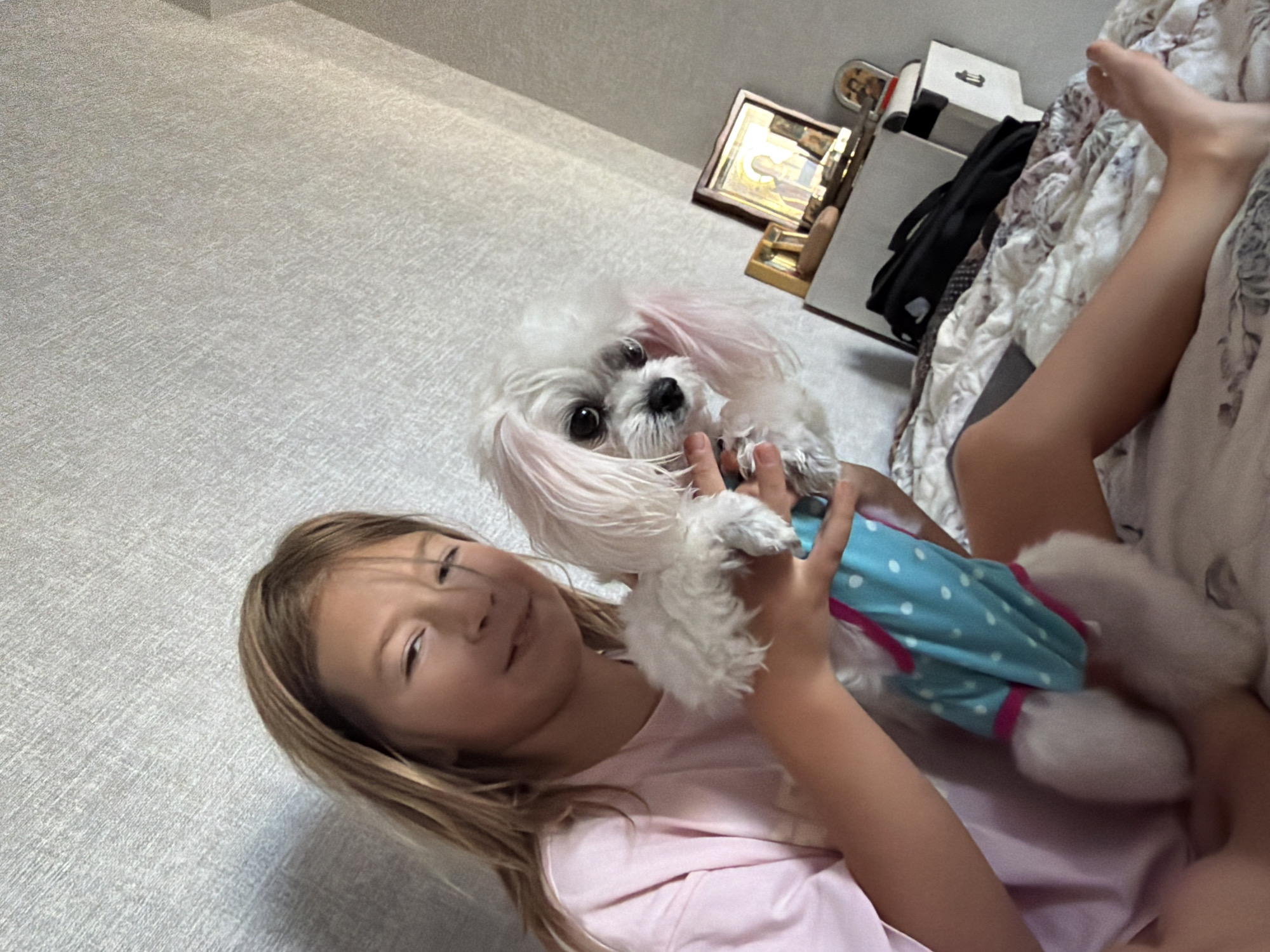 A young girl with blonde hair and a pink t-shirt is holding a small white dog dressed in a blue polka dot outfit. The girl is sitting on a bed with a patterned comforter. To the right of the girl, on a nightstand, are several religious icons and a black bag. The background appears to be a wall with textured wallpaper. The lighting suggests it is daytime. The image was captured in Sevastopol, Ukraine.