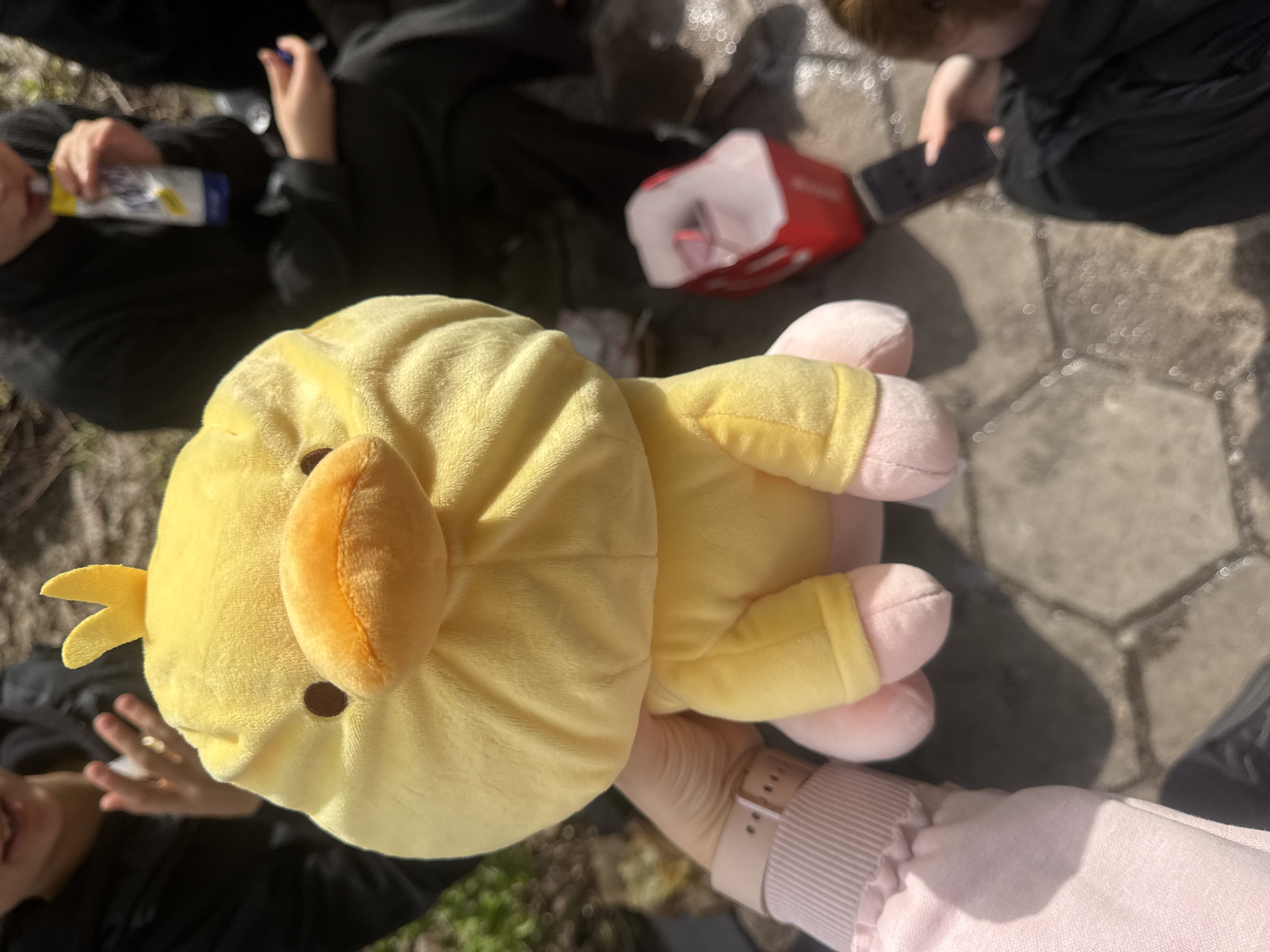 A close-up, high-angle shot focuses on a yellow plush toy resembling a chick or duck, held aloft by a person. The plush toy is soft, with black dot eyes, an orange beak, and small yellow tail feathers. The hand holding the toy wears a light-colored wristwatch with a textured band, and the forearm is covered by a light-pink long-sleeved garment with ribbed cuffs.
The background shows other individuals and objects, suggesting an outdoor, casual gathering. The ground is paved with hexagonal stones, illuminated by bright sunlight which casts distinct shadows, indicating a clear, sunny day. To the left, a person is seen holding a bottle with a white and blue label, on which the word "YELLOW" is partially visible. Another person in the mid-ground holds a smartphone, and a red open bag is visible on the ground nearby. The overall scene conveys a relaxed atmosphere.