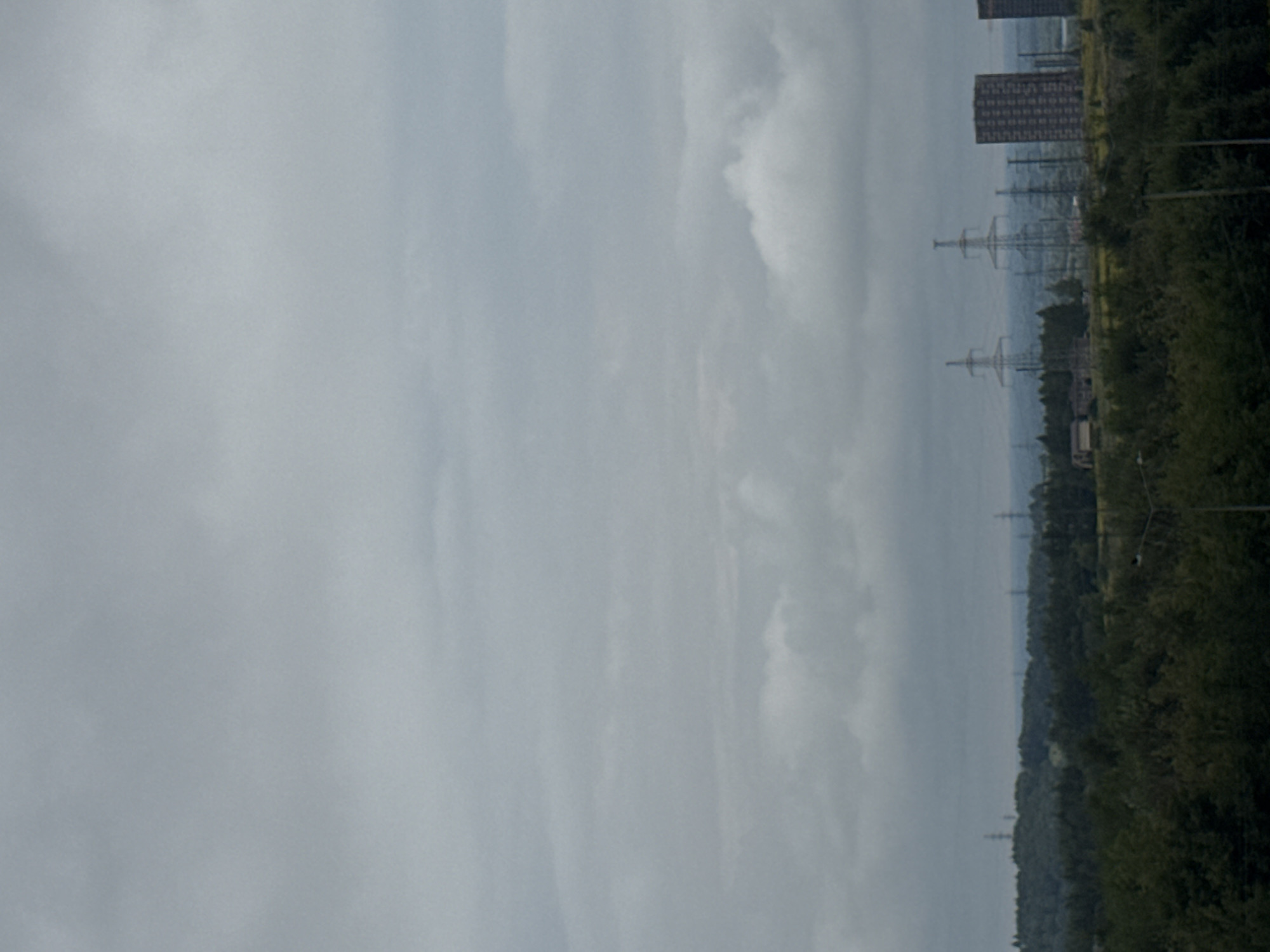 The image shows a landscape with a cloudy sky. In the foreground, there is a dense forest. In the middle ground, there are hills covered with trees. In the background, there are several electrical towers and two tall, rectangular buildings that appear to be apartment buildings. The scene is likely located in or around Анкудиновка, Russia, given the context provided. There are no people or animals visible in the image. The overall mood is somber and industrial.