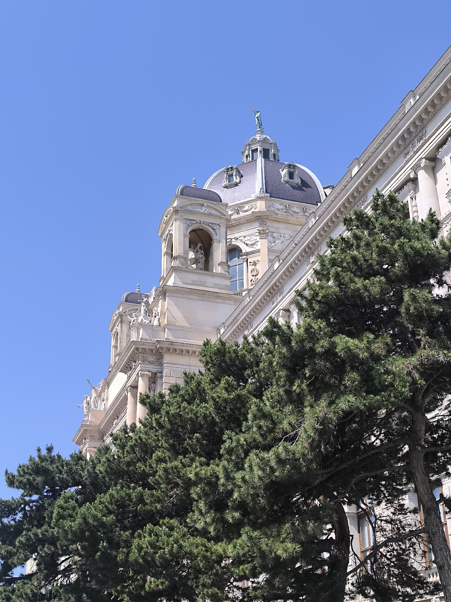 The image depicts a partial view of a building in Vienna, Austria, likely a museum or historic structure, framed by trees in the foreground. The building features classical architectural elements such as columns, ornate detailing, and a domed tower topped with a statue. The sky is clear blue, and the overall scene is bathed in daylight. The foliage partially obscures the lower portion of the building, suggesting a park or garden setting. There are no people visible in the image.