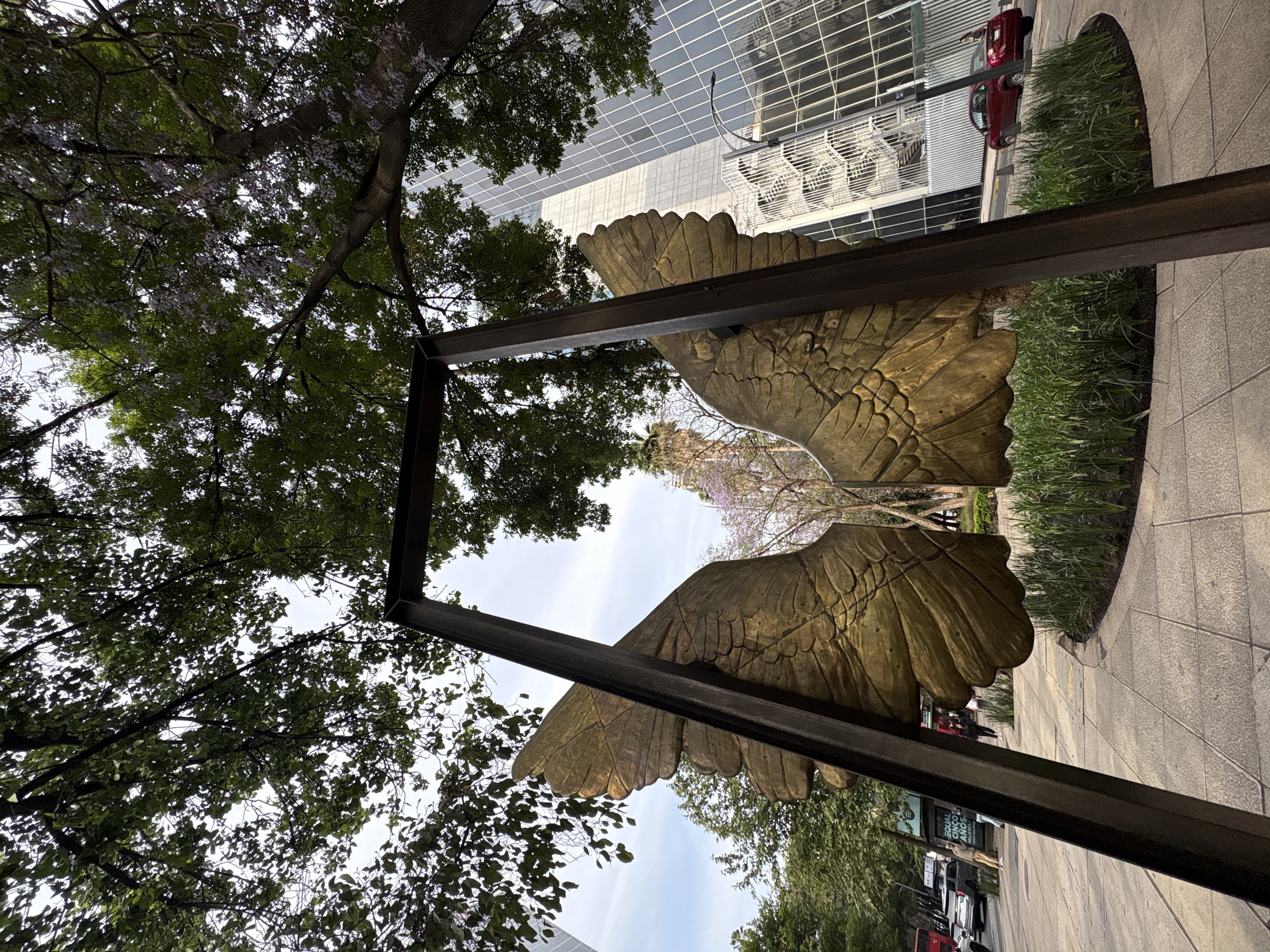 This image captures a vibrant urban scene featuring a prominent golden wing sculpture, likely a public art installation designed for interaction. The sculpture consists of two large, detailed metallic wings, standing vertically as if ready for flight.
The wings are situated amidst a lively city environment. Lush green trees with clusters of purple flowers, characteristic of Jacaranda trees, frame the sculpture and extend into the upper left portion of the image, suggesting a spring season. In the background, to the upper right, a modern building with a distinct grid-patterned glass facade rises, reflecting the bright sky.
The lower right side of the image reveals a city sidewalk made of light-colored pavers, bordered by landscaped areas featuring green grass and bushes. A street is visible beyond this, where a red car is parked, along with other vehicles further down the road. Small, indistinct figures of people can be seen walking on the sidewalk, indicating a bustling public space.
The scene is illuminated by bright, diffused daylight, suggesting a clear or partly cloudy sky during the daytime, possibly mid-morning or early afternoon. The overall atmosphere is one of urban energy combined with natural beauty and public art.
On a white sign in the distant background, partially visible text includes the words "EQUAL," "BALANCE," and "AMOR."