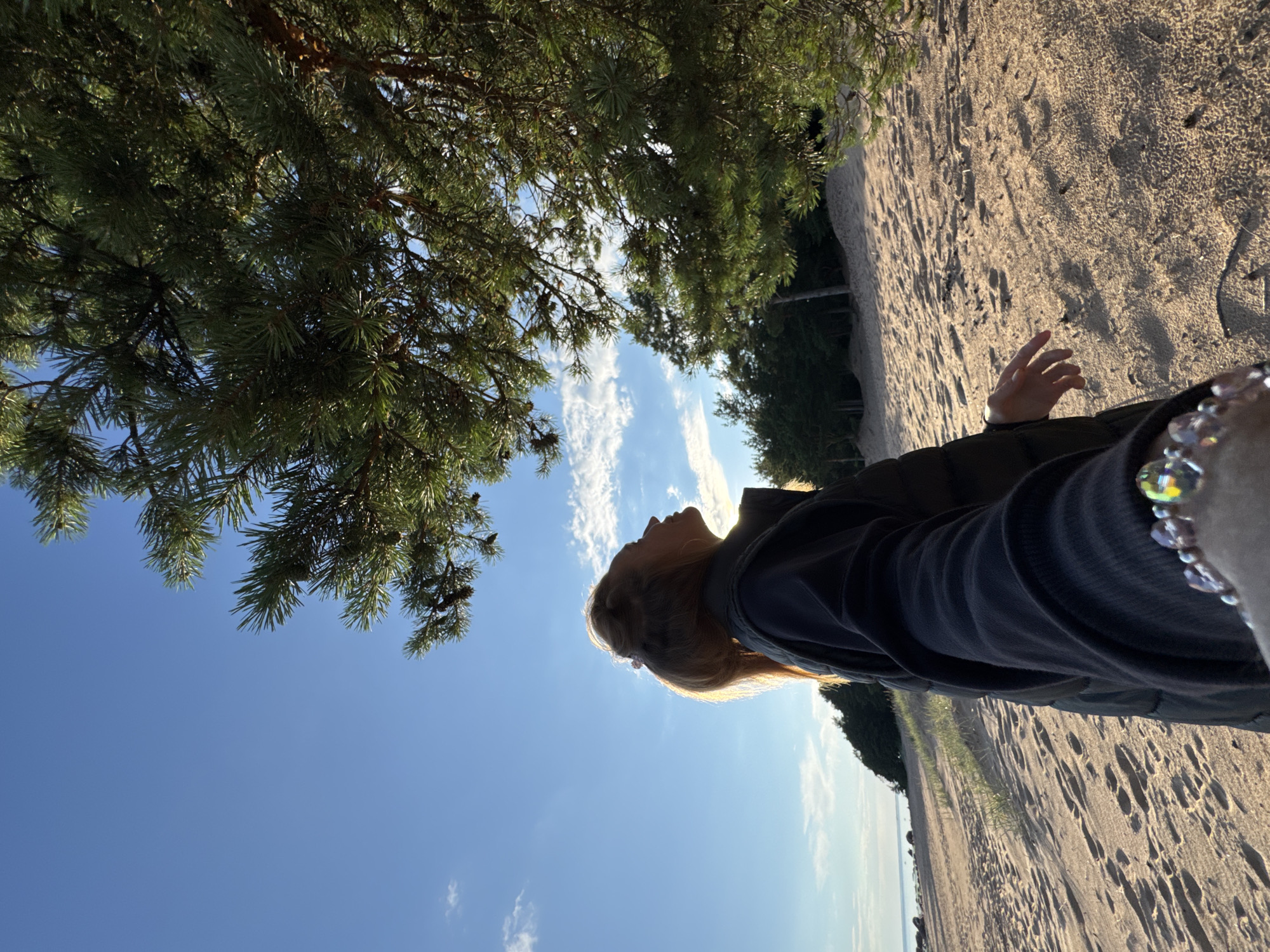The image depicts a person standing on a sandy beach, looking upwards at a pine tree. The person is facing away from the camera and is wearing a dark jacket. Their right arm is extended towards the viewer. The beach is bordered by trees in the background and a body of water is visible in the distance. The sky is blue with some scattered clouds. The lighting suggests it is either early morning or late afternoon. The location is identified as the city of Shepelevo, Russia.