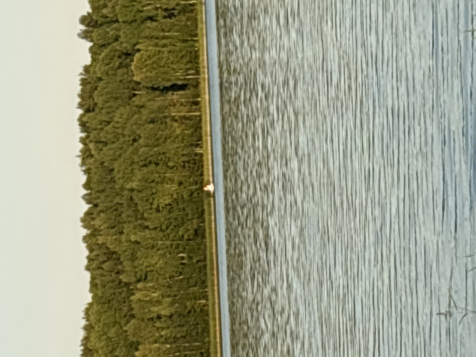 The image depicts a body of water, likely a lake or river, with a dense line of trees forming a backdrop along the far bank. The water exhibits a rippled texture, suggesting a gentle breeze or current. In the middle distance, a small boat with a red and white canopy is visible on the water. The sky above is a pale, hazy hue, characteristic of daytime with a slight overcast or late afternoon light. The overall scene suggests a natural, tranquil environment.
