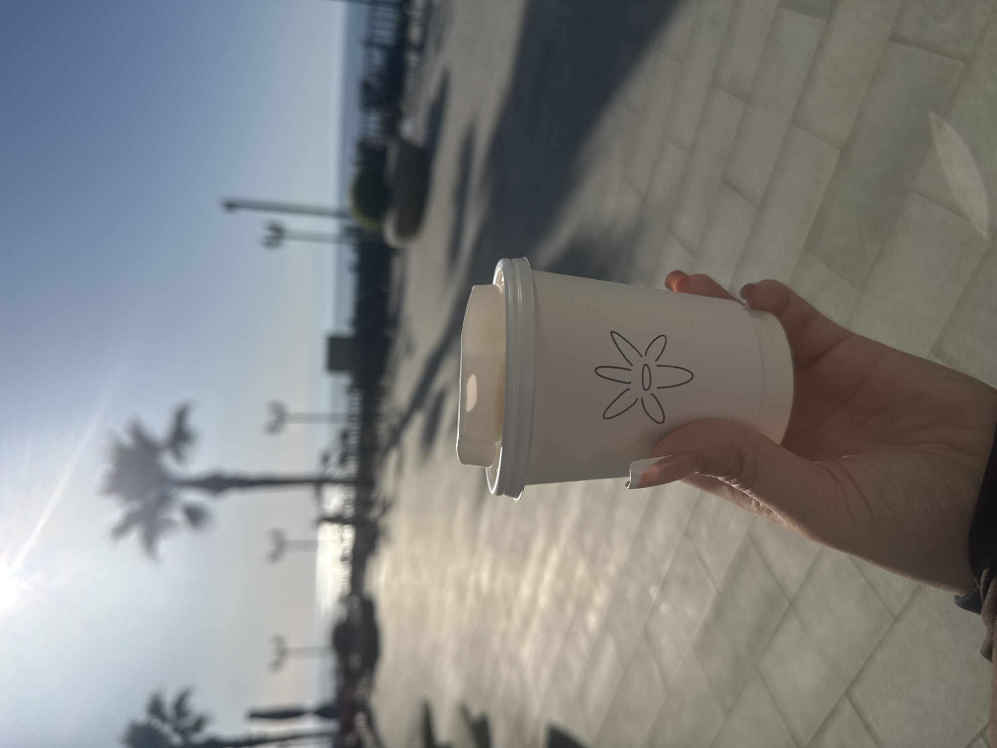A close-up view captures a hand holding a white disposable coffee cup in an outdoor setting, identified as Batumi, Georgia. The hand, likely female, features neatly manicured nails with light-colored tips. The white cup is adorned with a simple, stylized outline drawing resembling a flower or starburst, and has a white lid.
The background is softly out of focus, revealing a wide, paved promenade or boardwalk. Several silhouetted palm trees and lampposts are visible in the mid-ground, stretching towards a calm body of water, likely the Black Sea, in the distance. The paved ground, made of light-colored tiles or bricks, displays prominent, elongated shadows, characteristic of a low sun angle.
A bright sun flare on the left side of the image indicates the sun's position, suggesting either early morning or late afternoon. The sky above is a clear, light blue, enhancing the bright, sunny weather. The overall scene evokes a sense of calm and leisure, depicting a person enjoying a beverage while experiencing the pleasant coastal environment. No discernible text is visible on the cup, only the outlined design.