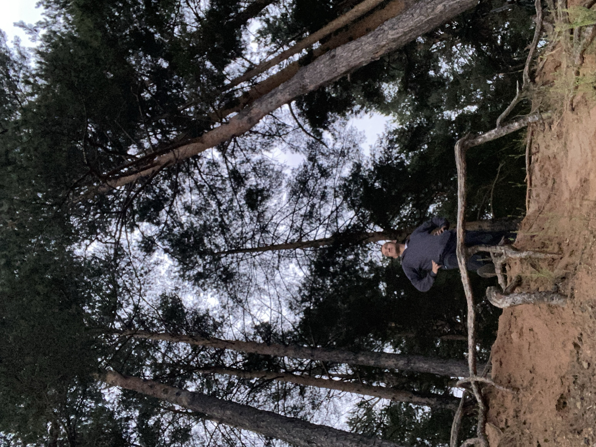 A person stands on a sandy incline in a forest with tall pine trees. The person is wearing a dark grey hooded sweatshirt and dark pants, with hands on their hips and looking upwards. A rustic wooden fence runs along the incline. The sky is overcast and visible through the trees. The location is Chaikovsky, Russia.