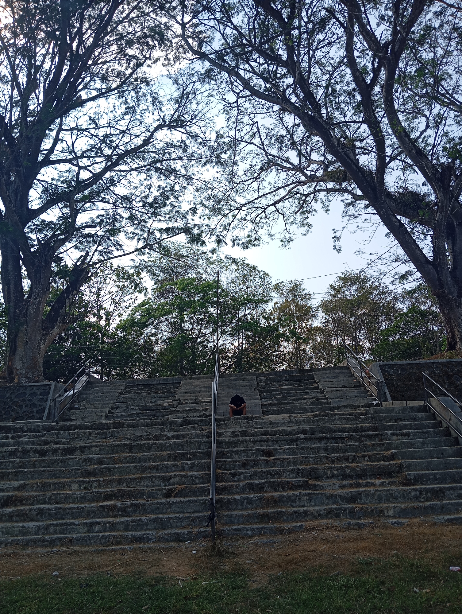 A wide-angle, low-angle shot captures a stone staircase leading upwards, flanked by large trees with bare branches against a pale sky. A solitary person, wearing dark clothing and appearing to be sitting with their back to the camera, is positioned on the stairs approximately one-third of the way up from the bottom. The staircase appears to be constructed of large, weathered stone slabs with grass and dry leaves scattered on and around it. Metal handrails are visible on either side of sections of the stairs. The scene is set in an outdoor, park-like environment with dense foliage forming a backdrop above the stairs. This location is identified as the Monument of General Soedirman in Sokaraja, Indonesia.