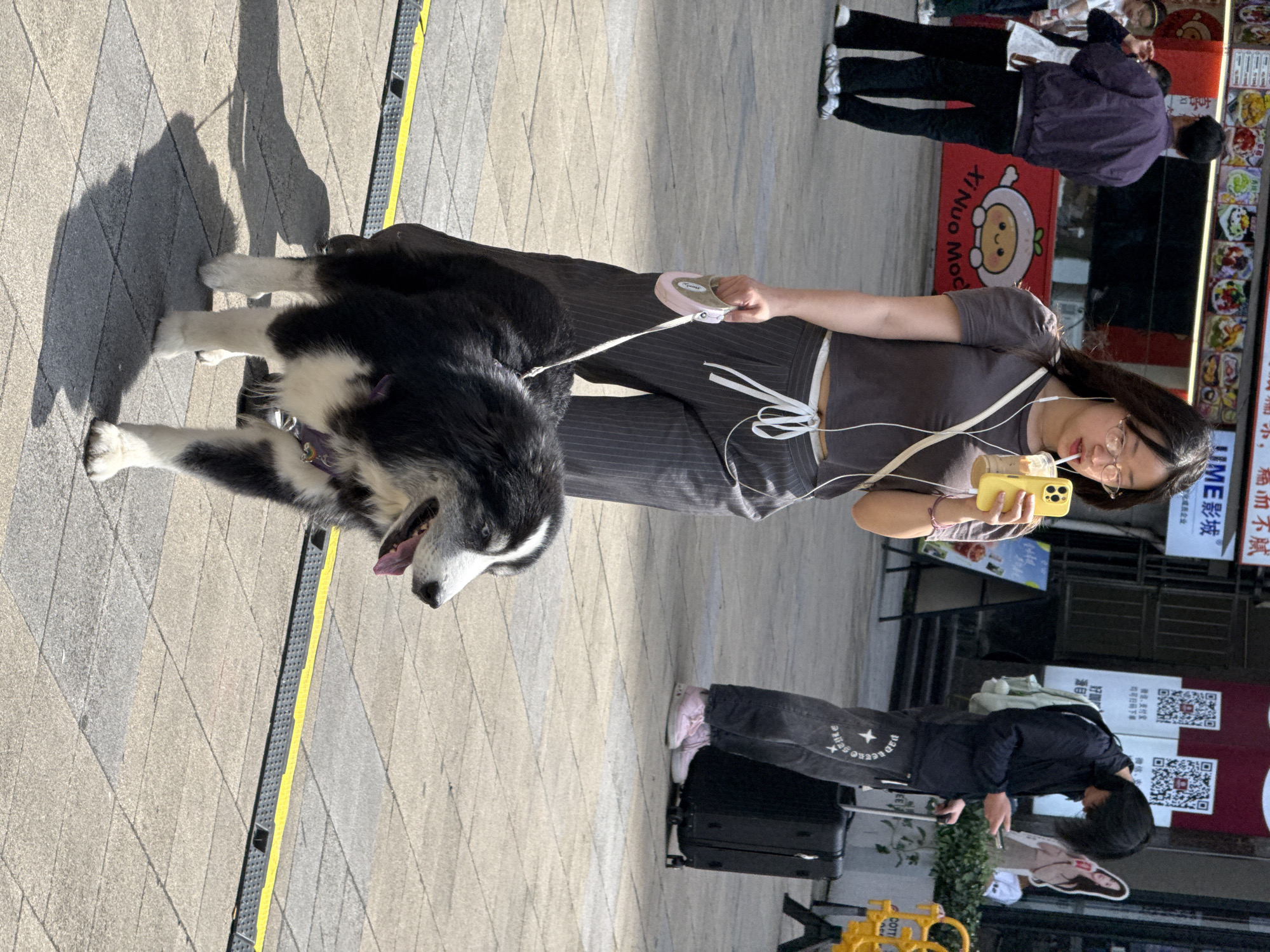 The image depicts a vibrant street scene in Yuzhong District, China, under bright sunlight, evidenced by the long shadows stretching across the tiled sidewalk. The central figures are a woman and a large, fluffy black and white dog, possibly a Husky or Alaskan Malamute, which appears to be panting. The woman wears a dark top and pinstriped trousers, holding a light pink retractable dog leash in one hand and a yellow-cased smartphone in the other, seemingly engrossed in her device while wearing glasses and earphones.
In the mid-ground, another person dressed in dark clothing, with "RETRO" visible on their pants and wearing pink shoes, stands next to a black rolling suitcase. Further in the background, another individual in a purple jacket is partially visible. The scene is set against a backdrop of urban storefronts displaying various signs. Notable text elements include "Xi Nuo Moc" with a cartoon character, "UME影城" (UME Cinema), and Chinese phrases like "顺小,扁而不腻" (smooth and small, flat but not greasy), likely describing food, and "微信、支付宝 均可扫码下单" (WeChat, Alipay can all scan code to order), indicating payment methods.